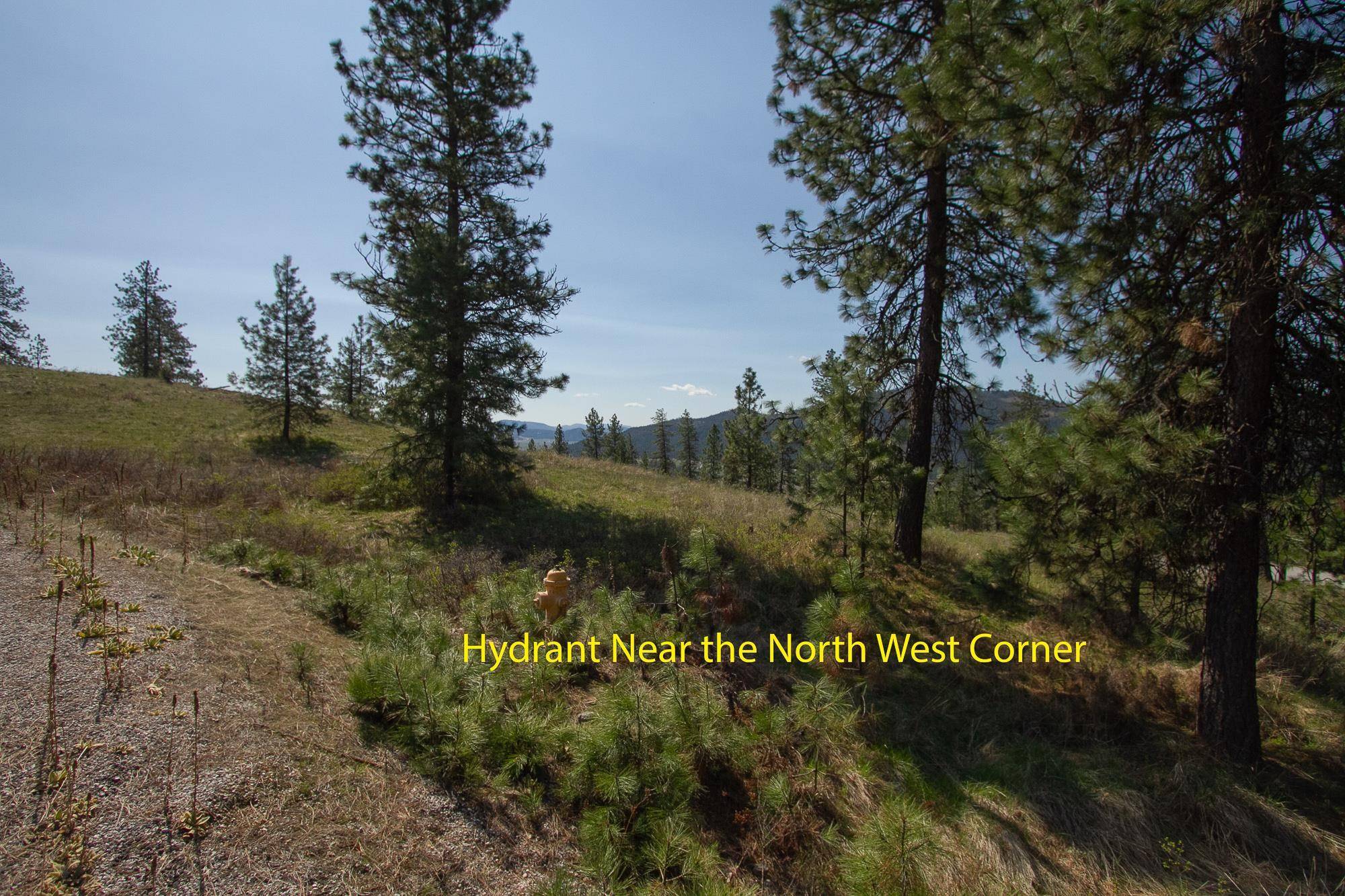 1622 Palmer LOOP, Chewelah, WA 99109