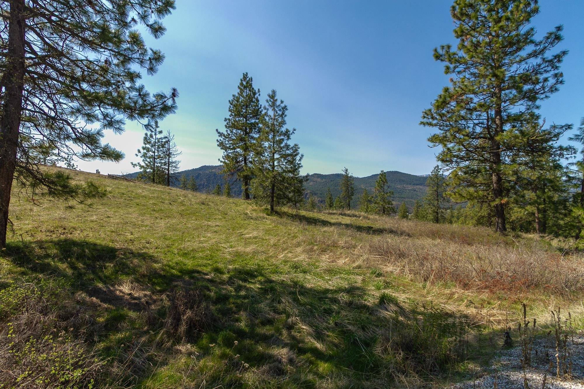 1622 Palmer LOOP, Chewelah, WA 99109