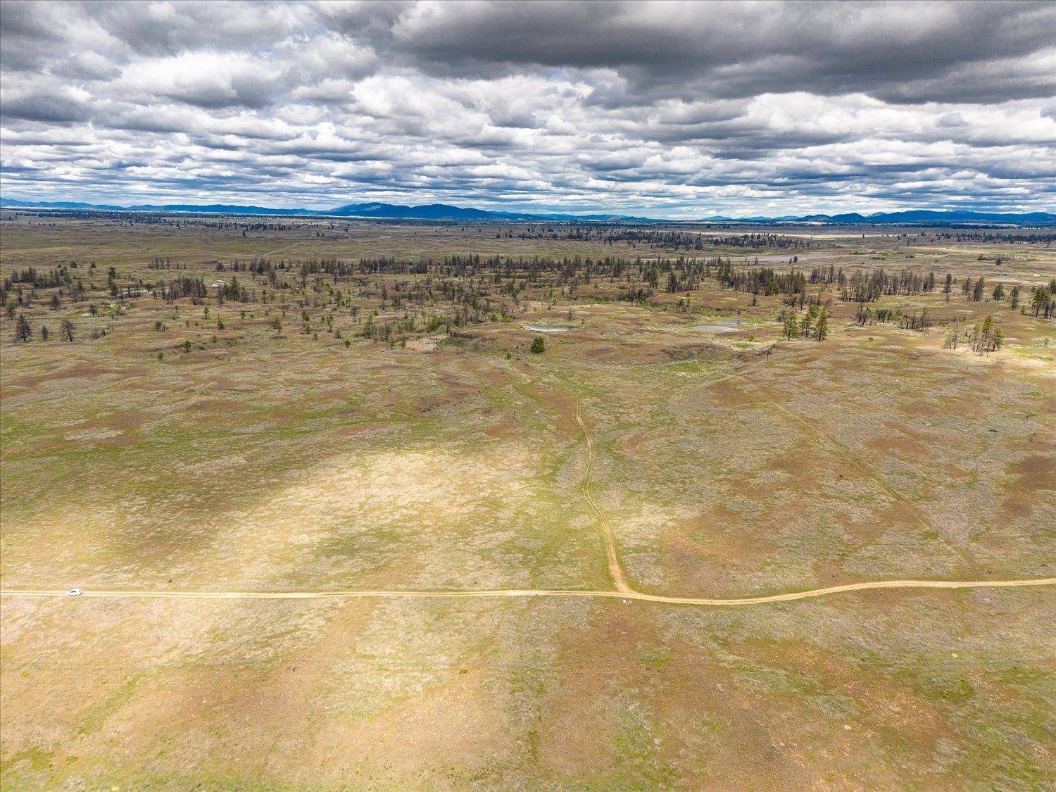 26405 Lone Pine E Rd, Davenport, WA 99122