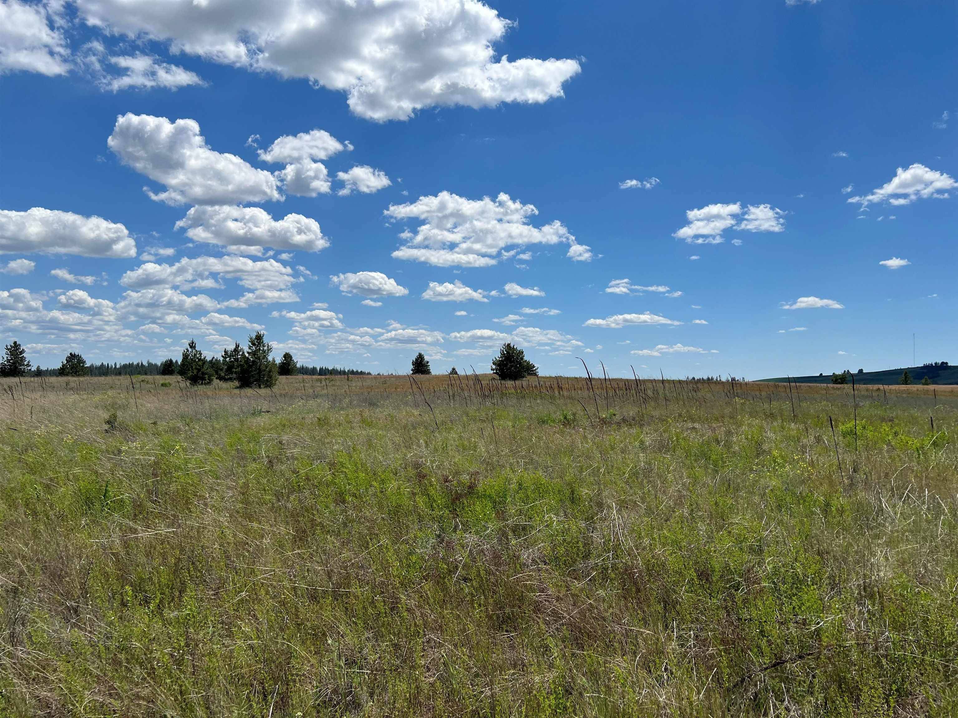 XXX N Wood Rd, Reardan, WA 99029