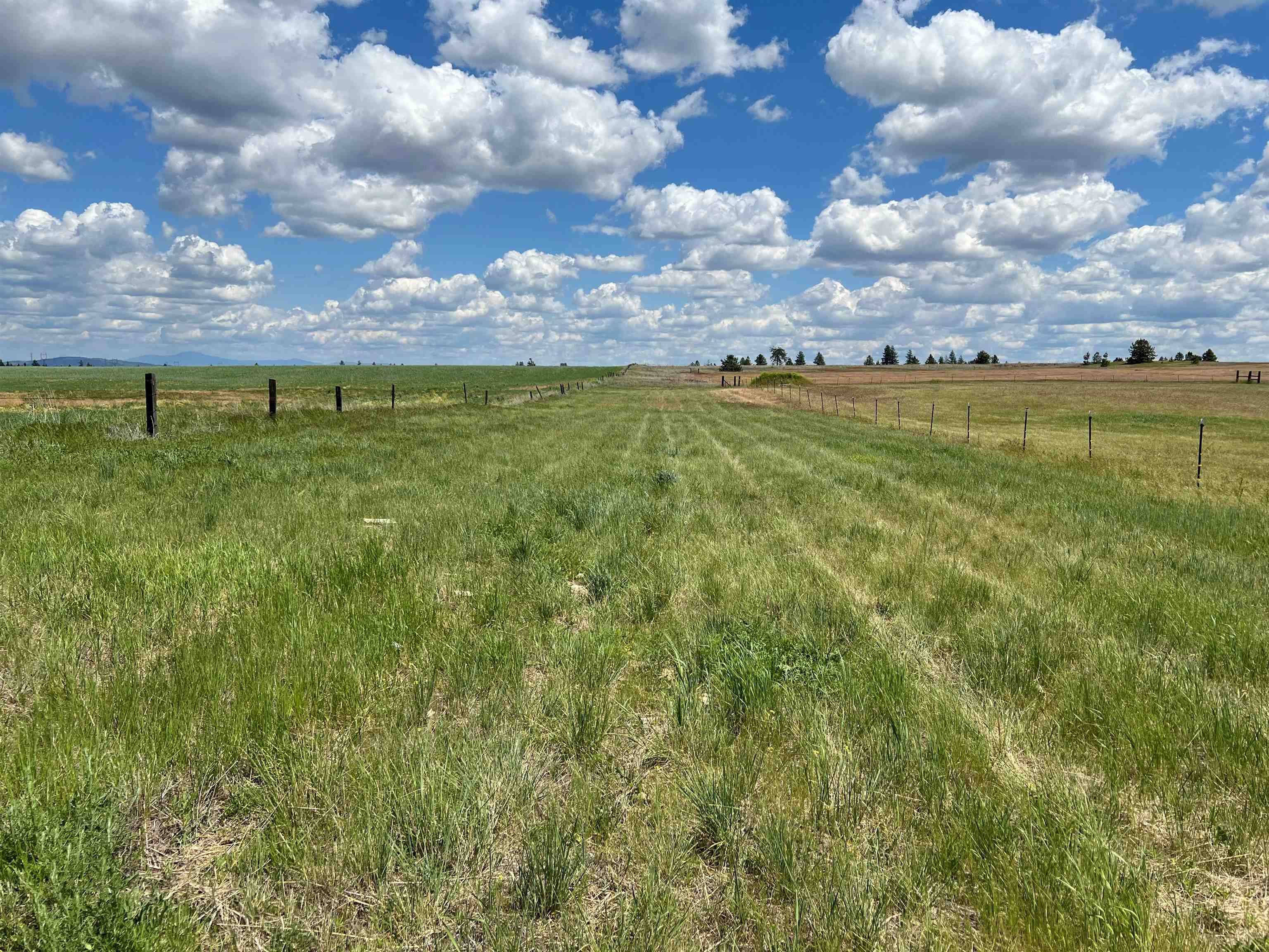 XXX N Wood Rd, Reardan, WA 99029