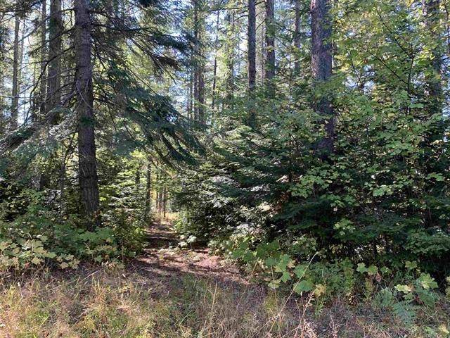 17616 E Tallman Rd, Chattaroy, WA 99003