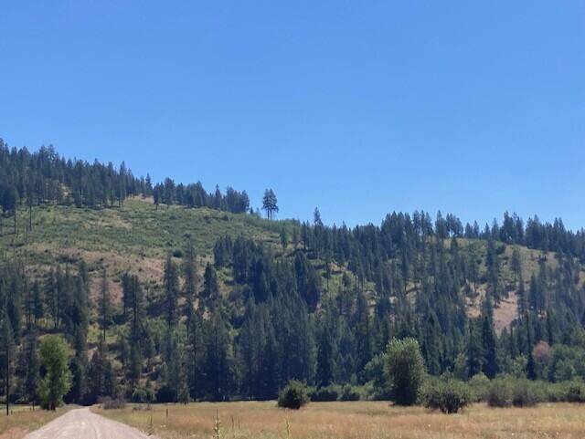 25XX HALL CREEK Rd, Inchelium, WA 99138