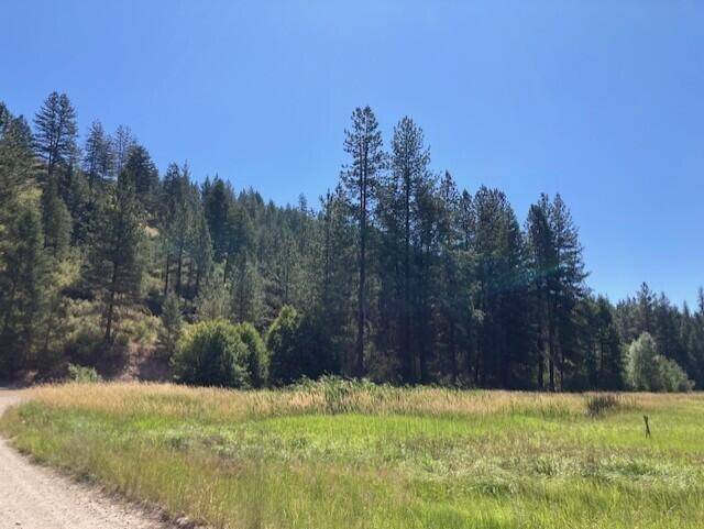 25XX HALL CREEK Rd, Inchelium, WA 99138