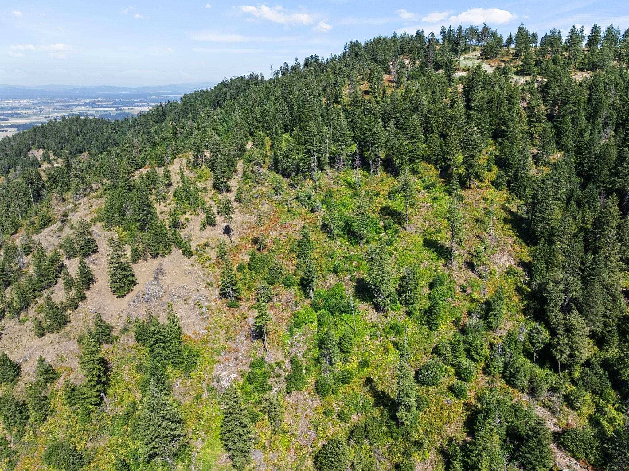 6671 Blue Ridge WAY, Deer Park, WA 99006