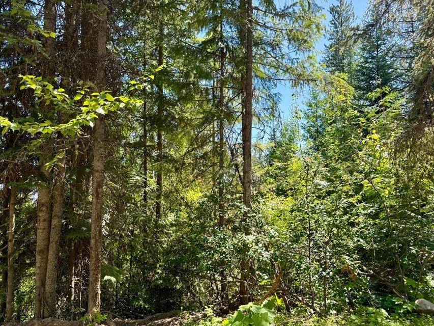 TBD Perelandra Cir #Lot 36, 37, Other, WA 99121