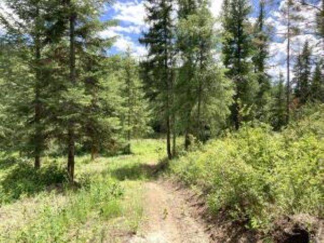 4xx #U BUFFY Ln, Inchelium, WA 99138