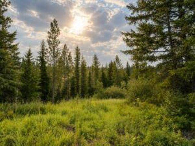 4xx #U BUFFY Ln, Inchelium, WA 99138
