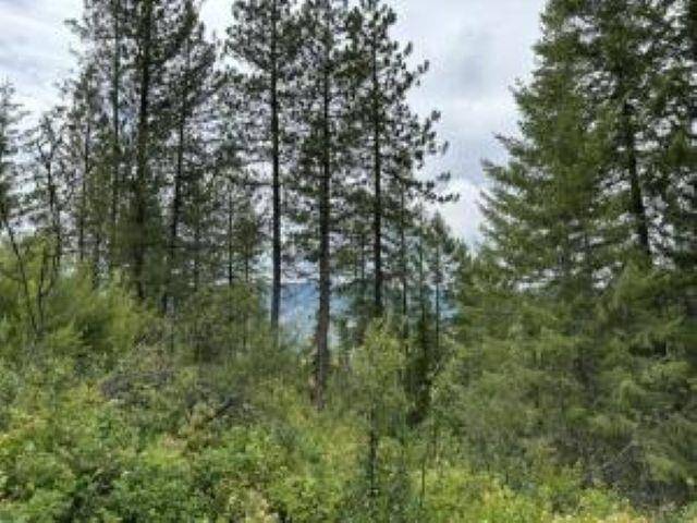 4xx #U BUFFY Ln, Inchelium, WA 99138