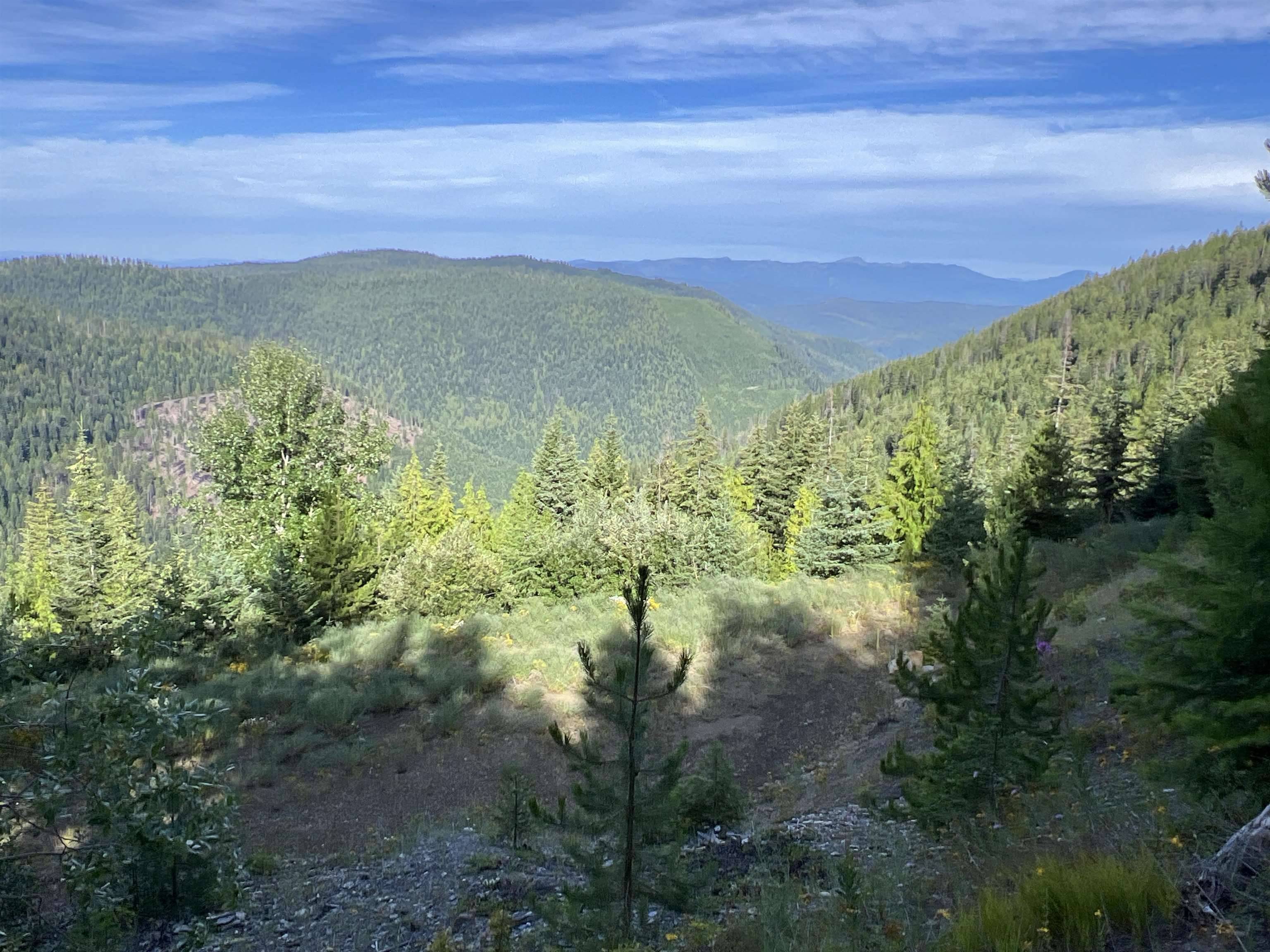 NKA Frisco Standard Rd, Colville, WA 99114