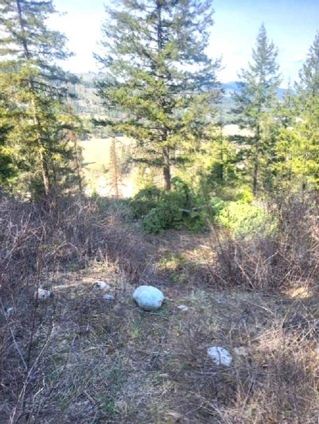 2462x WA-25 N Hwy, Evans, WA 99126