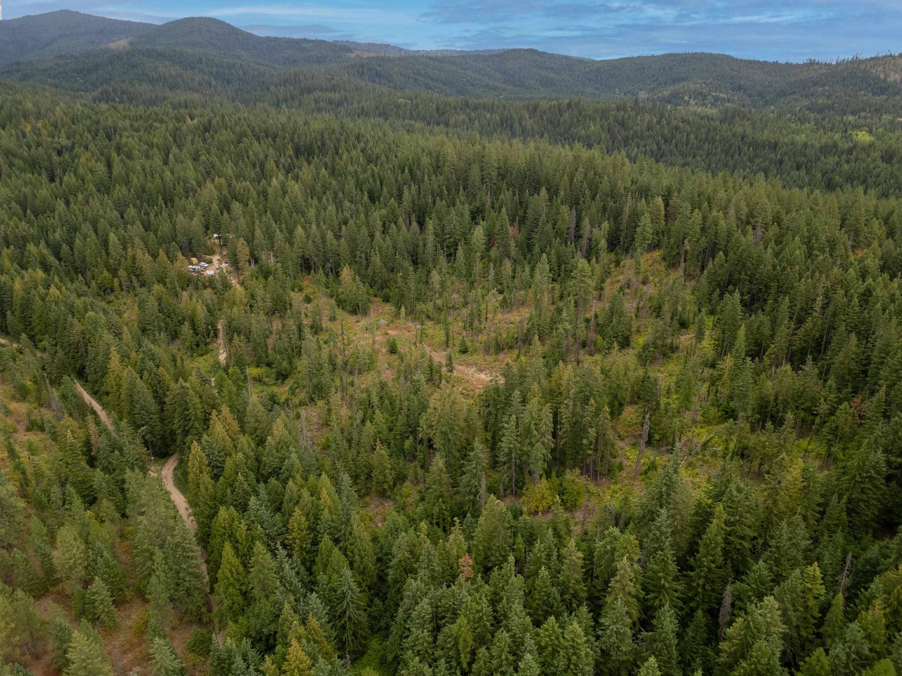 XX N Deer Ln, Mead, WA 99021