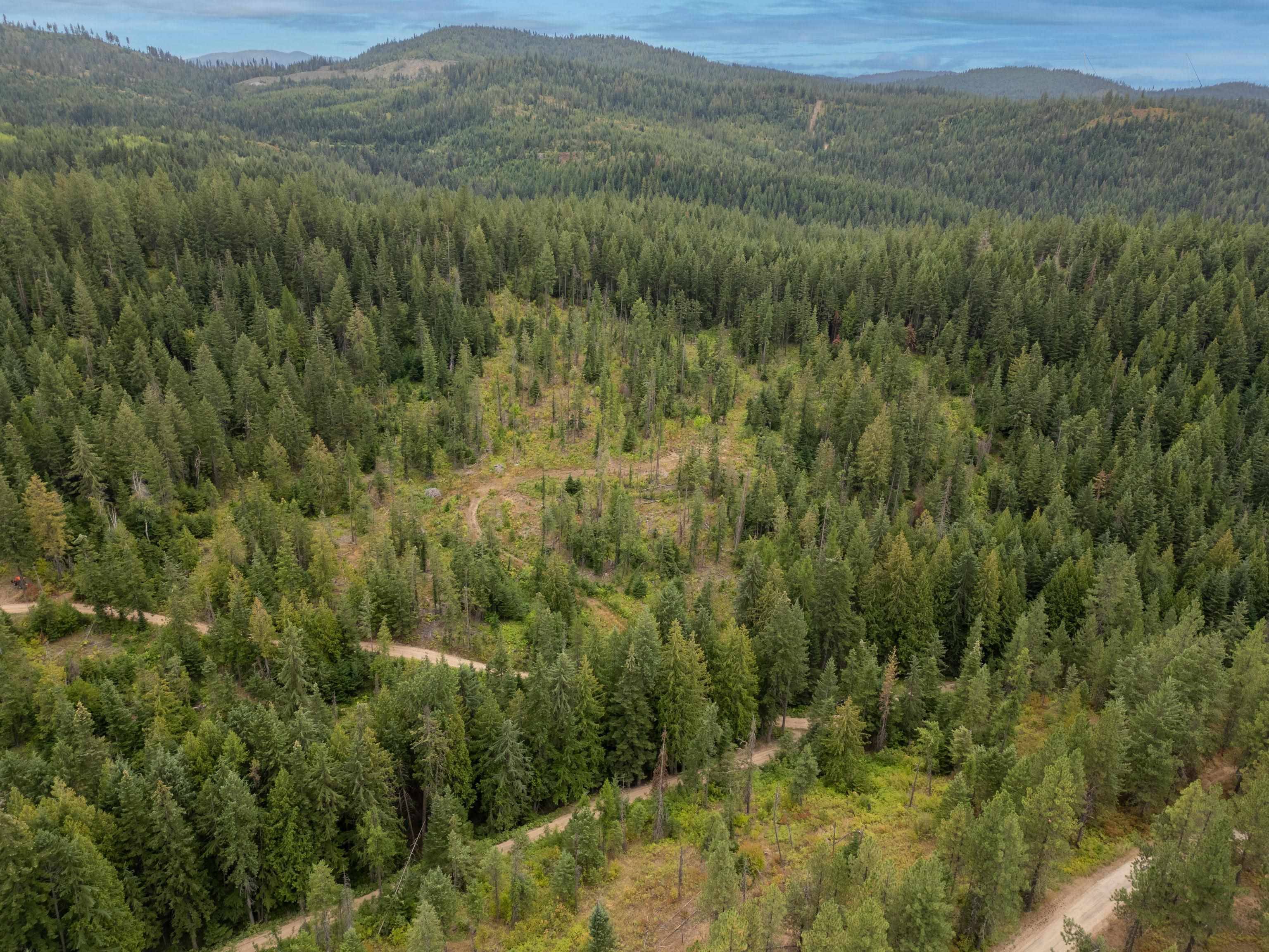 XX N Deer Ln, Mead, WA 99021