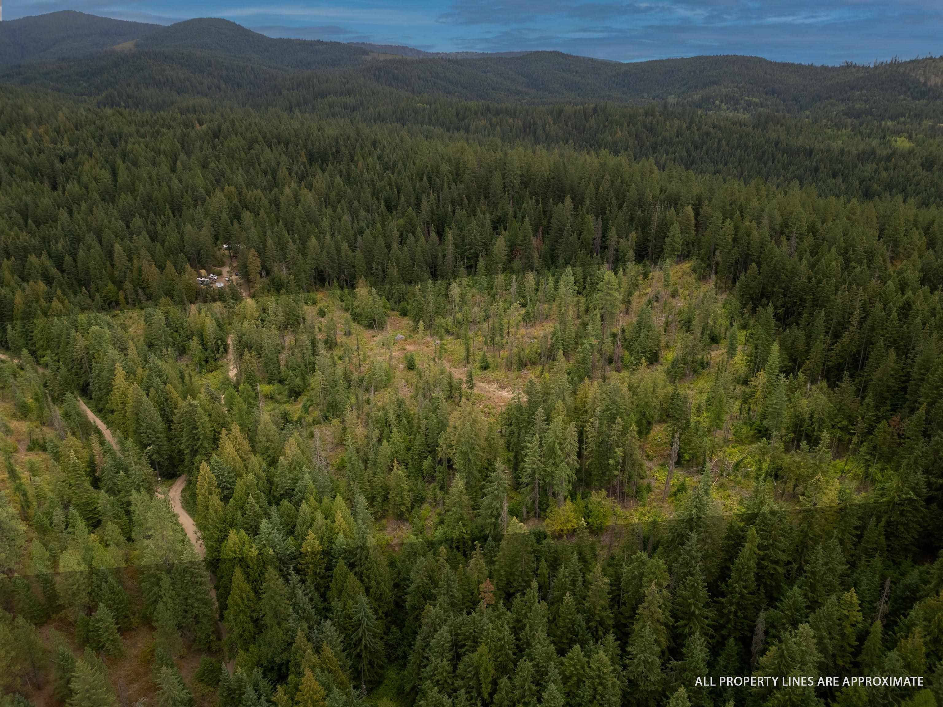 XX N Deer Ln, Mead, WA 99021