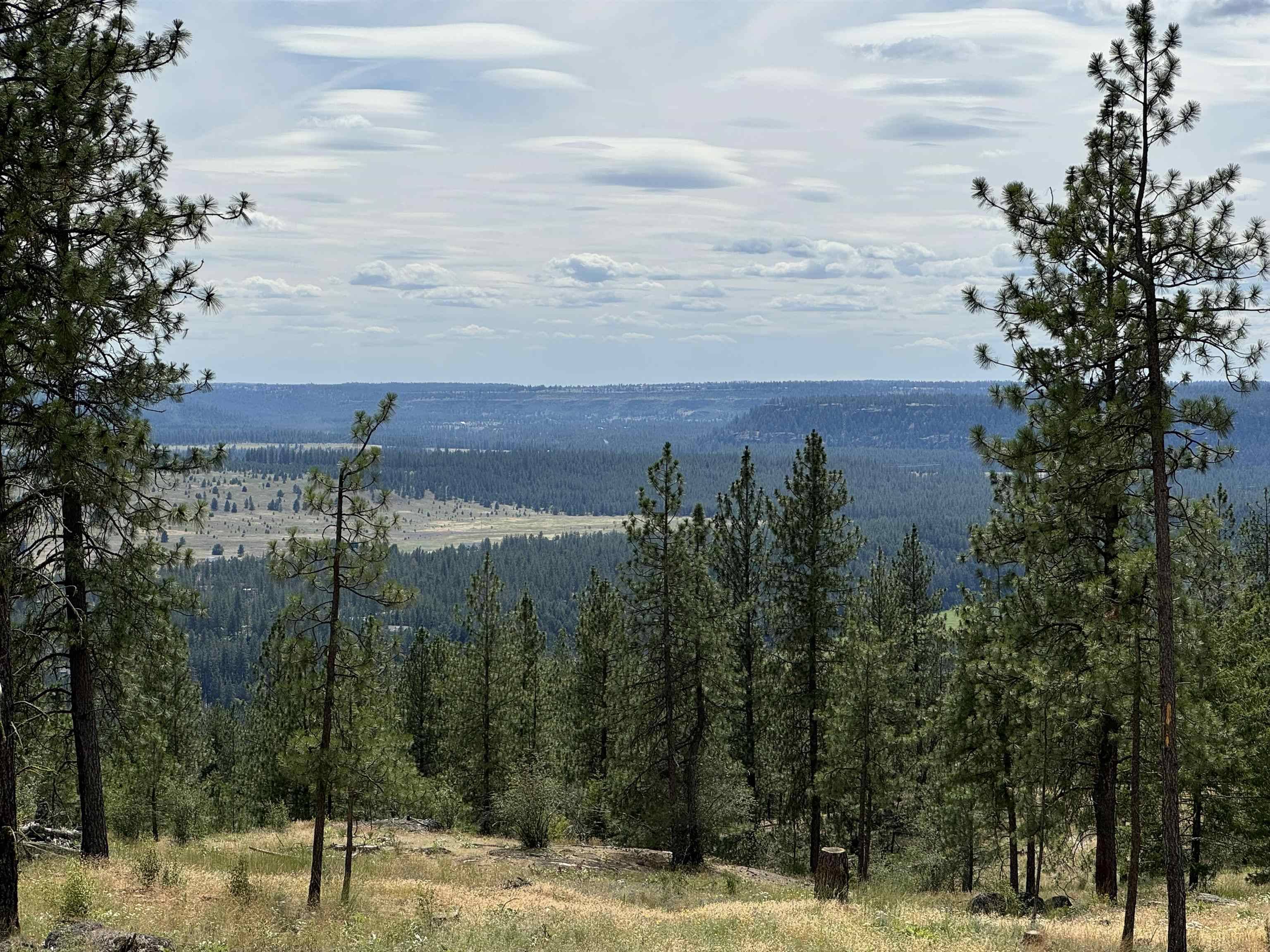 14812 N Cliff Ln #Site 130, Spokane, WA 99208