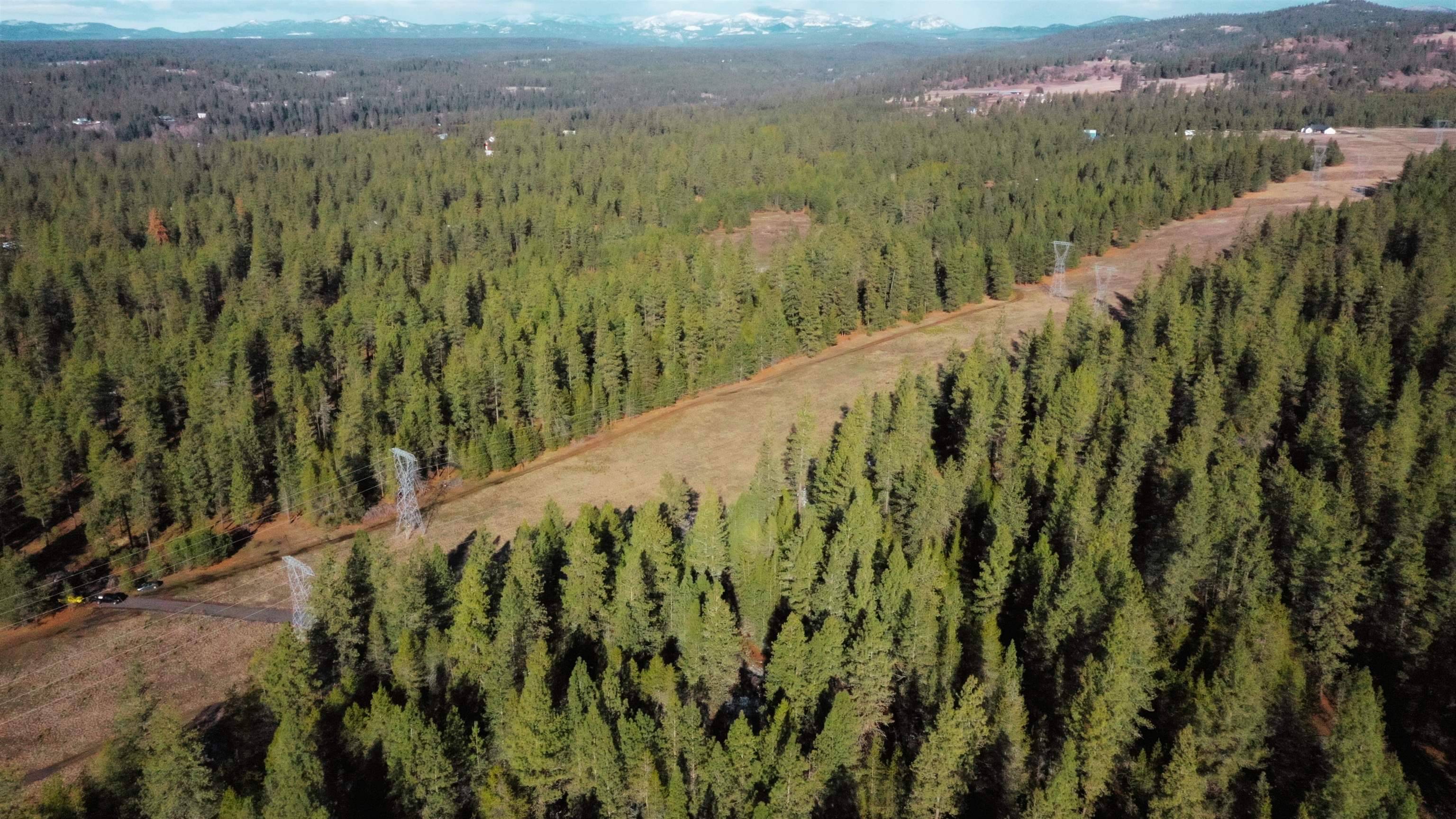 NKA N Hardesty Rd, Chattaroy, WA 99005
