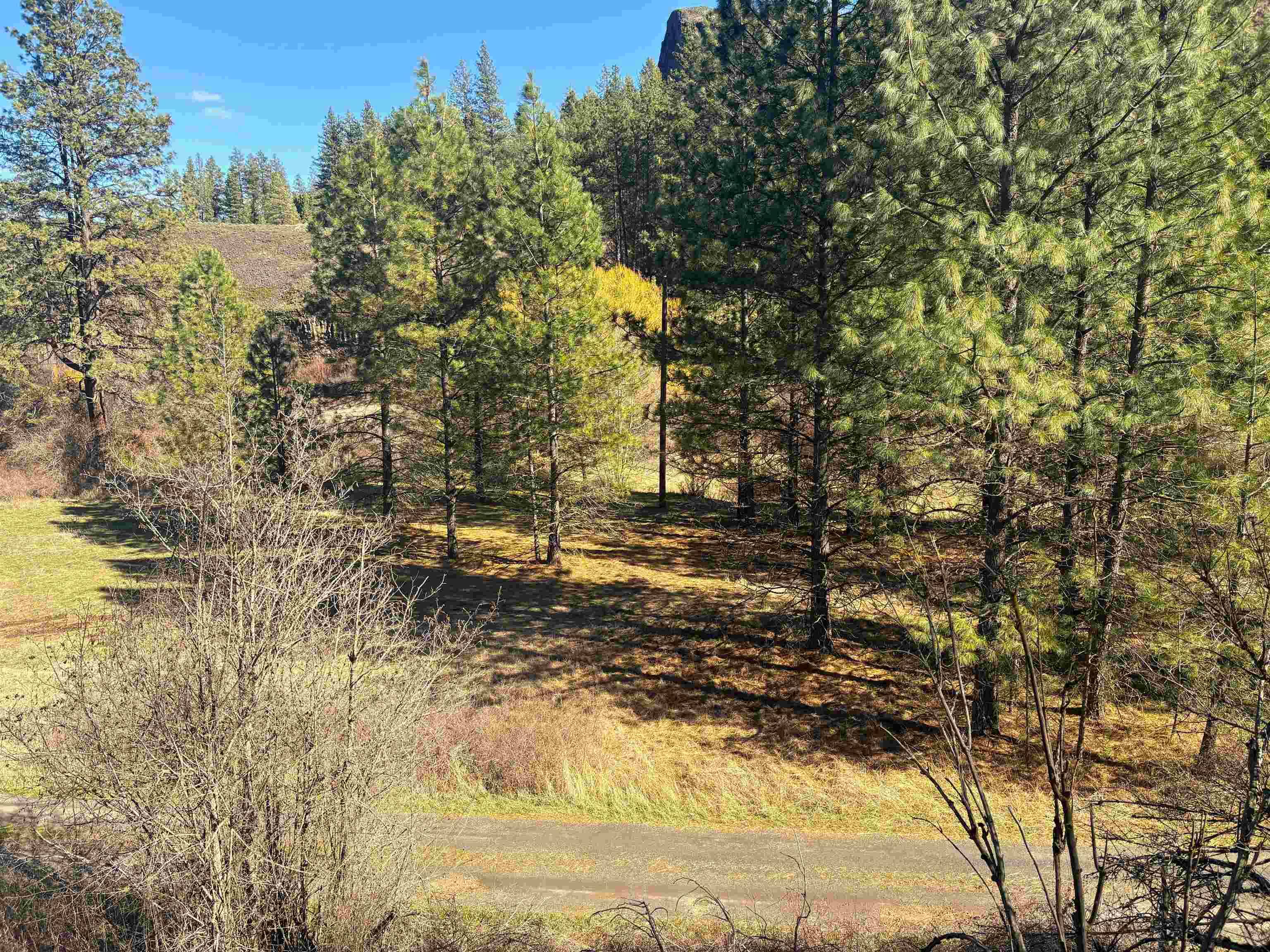 32900 N Hawk Creek Ranch Rd, Davenport, WA 99122