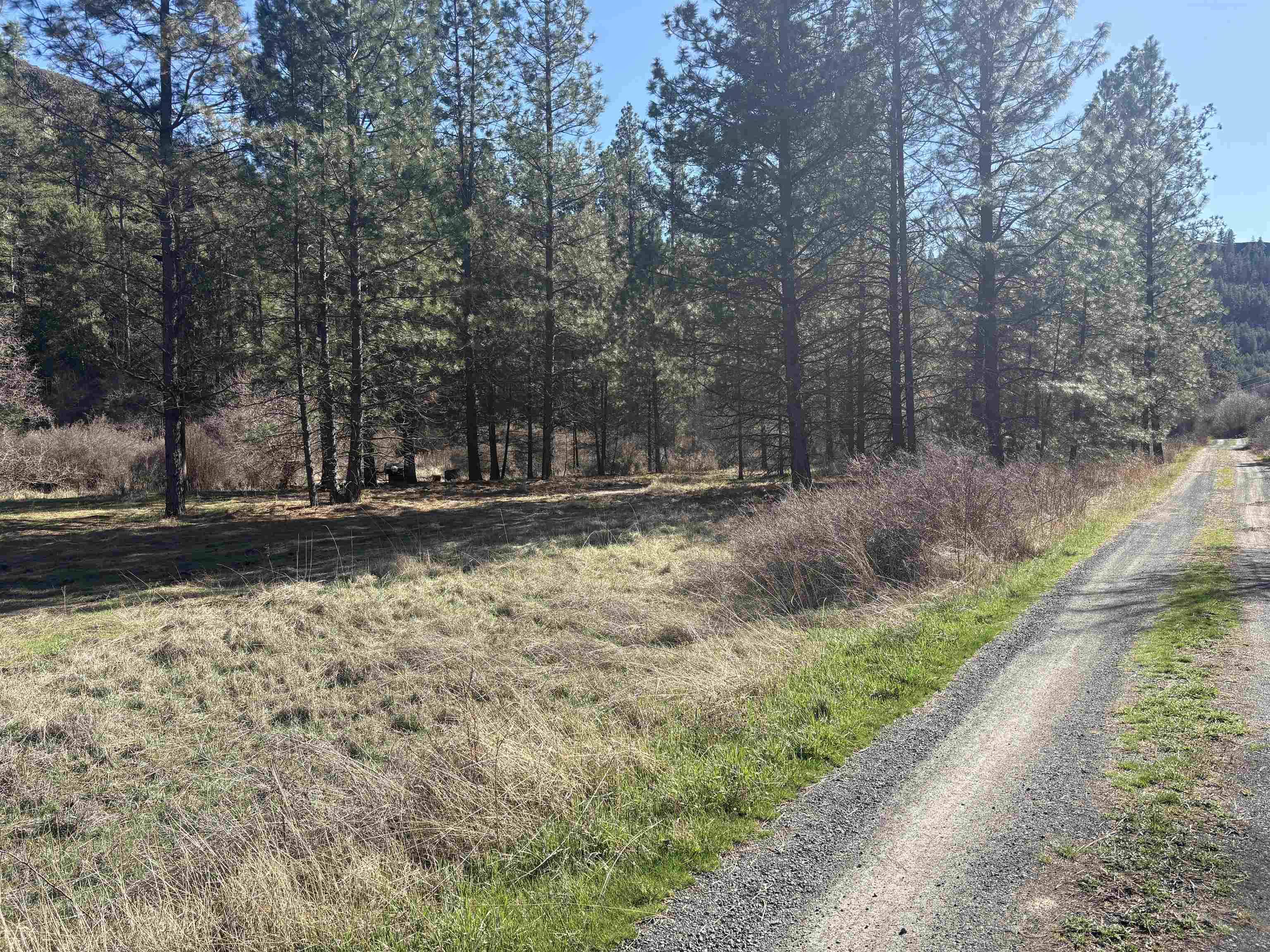 32900 N Hawk Creek Ranch Rd, Davenport, WA 99122