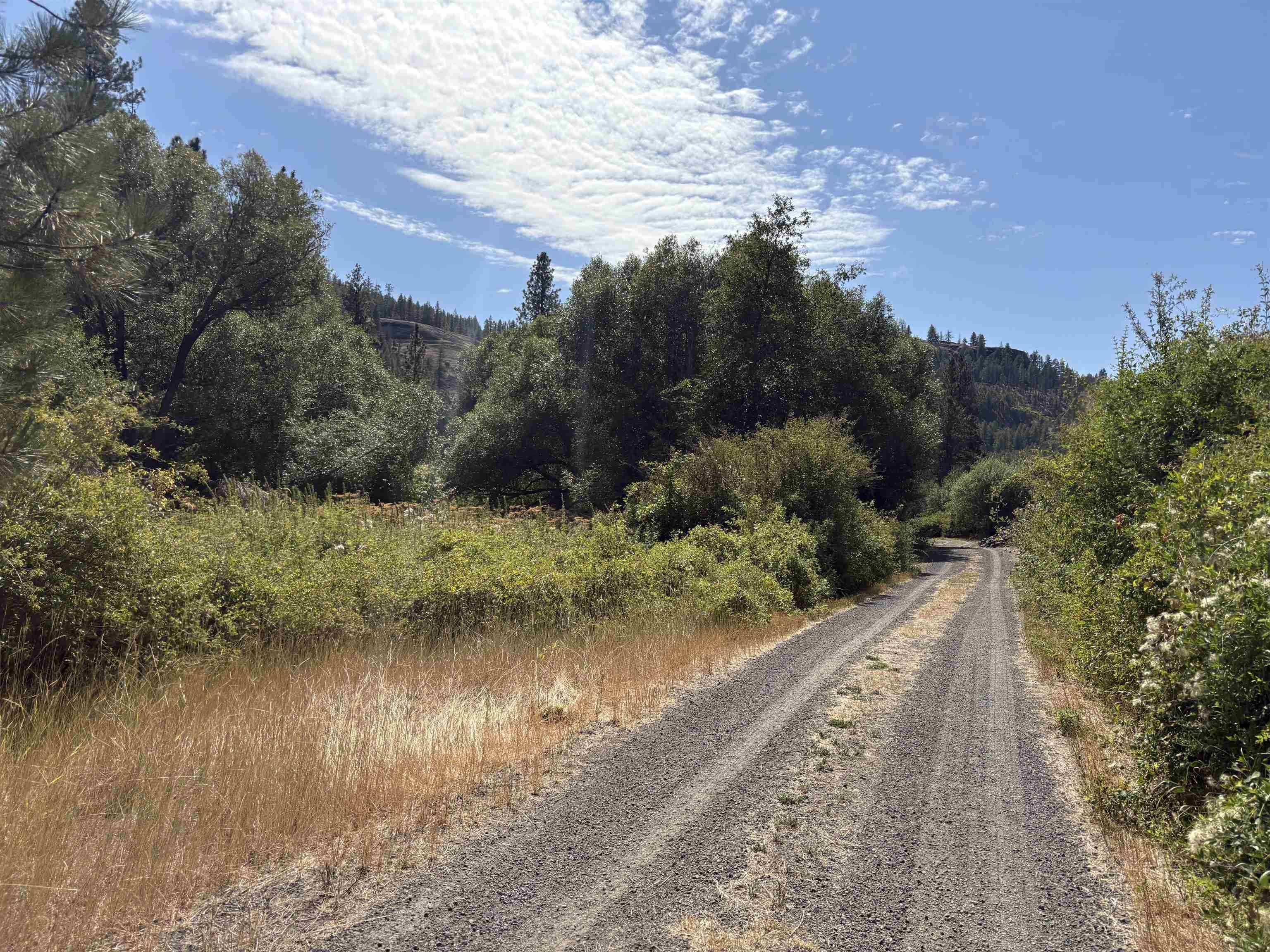 32900 N Hawk Creek Ranch Rd, Davenport, WA 99122
