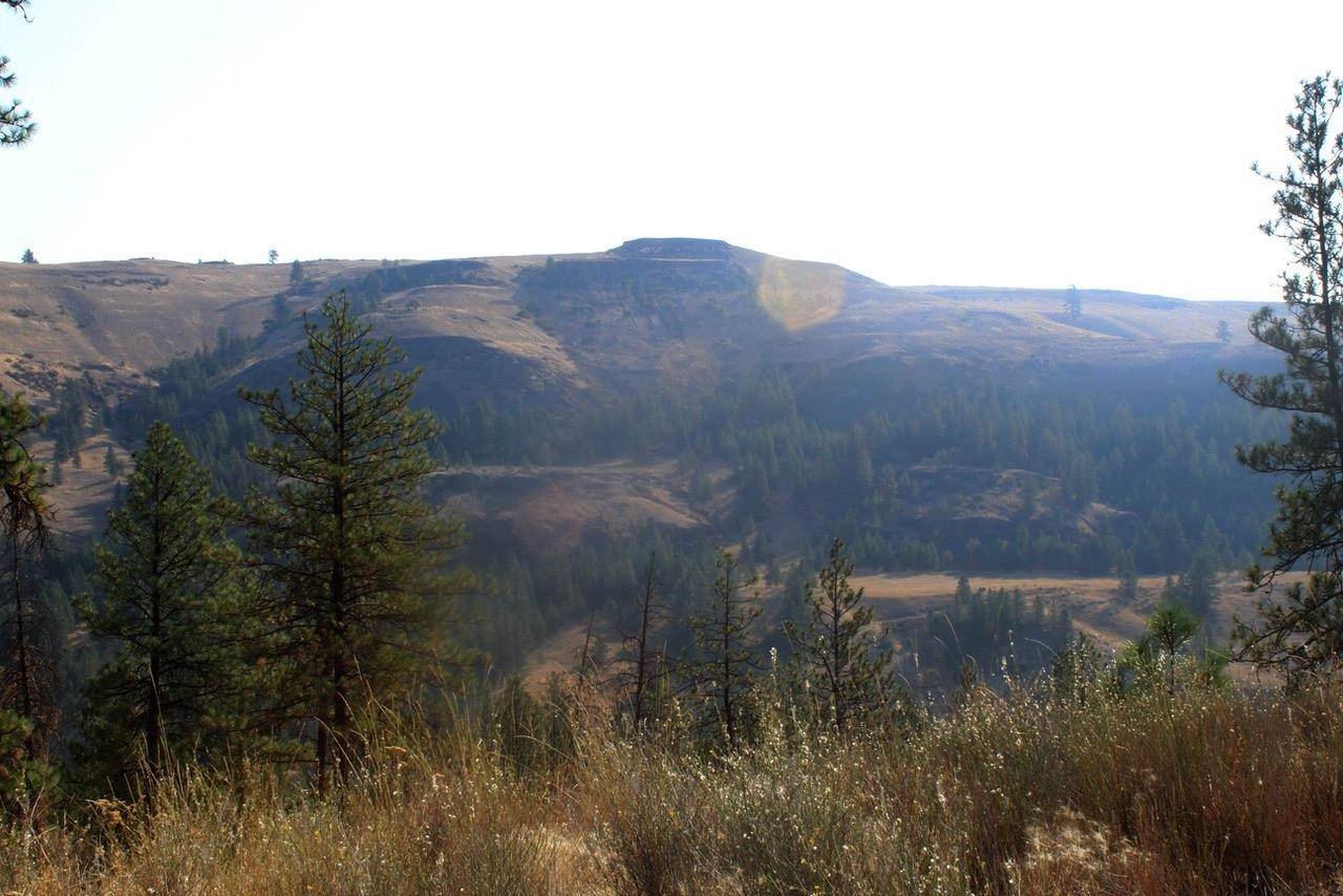 35770 Spruce Grouse N Ln, Davenport, WA 99122