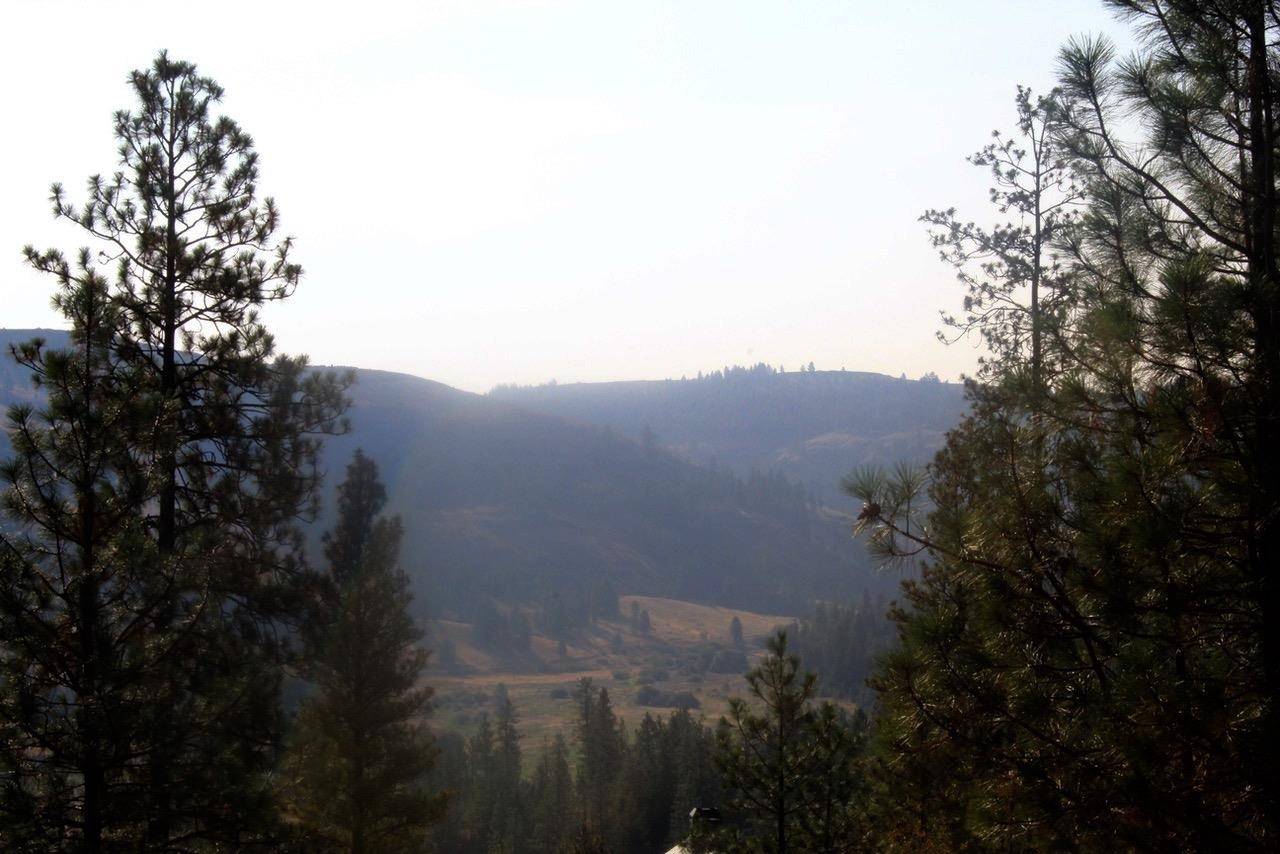 35770 Spruce Grouse N Ln, Davenport, WA 99122