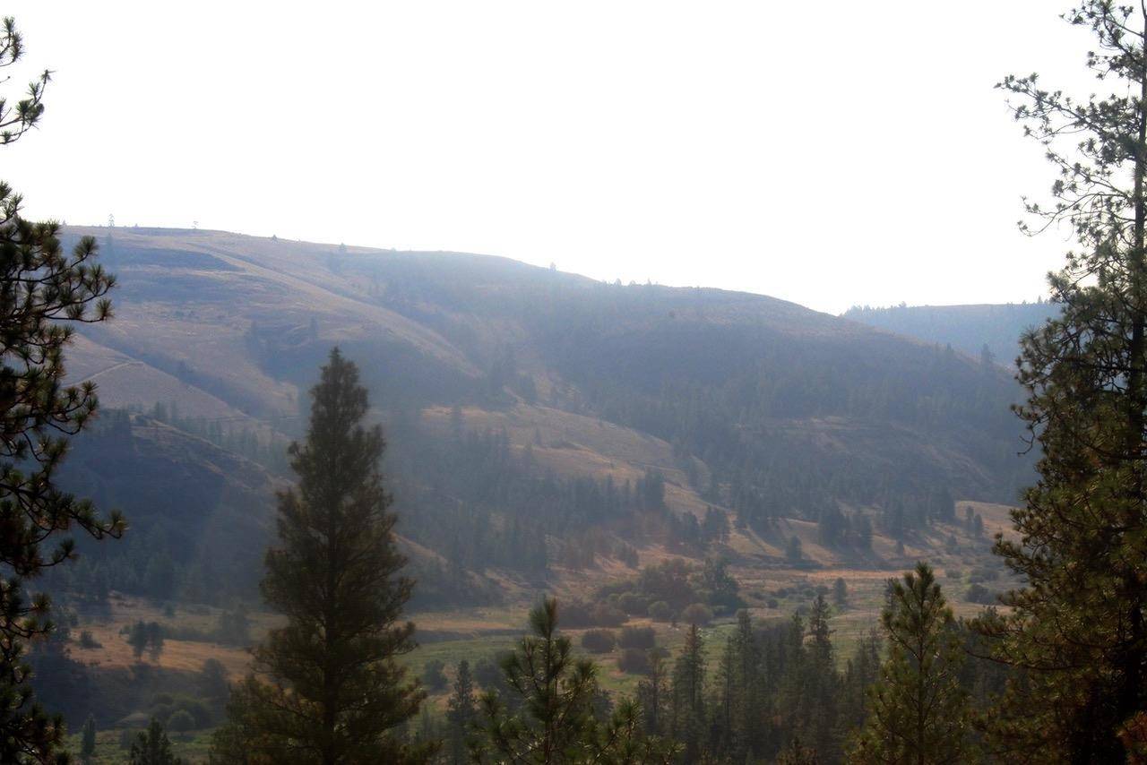 35770 Spruce Grouse N Ln, Davenport, WA 99122