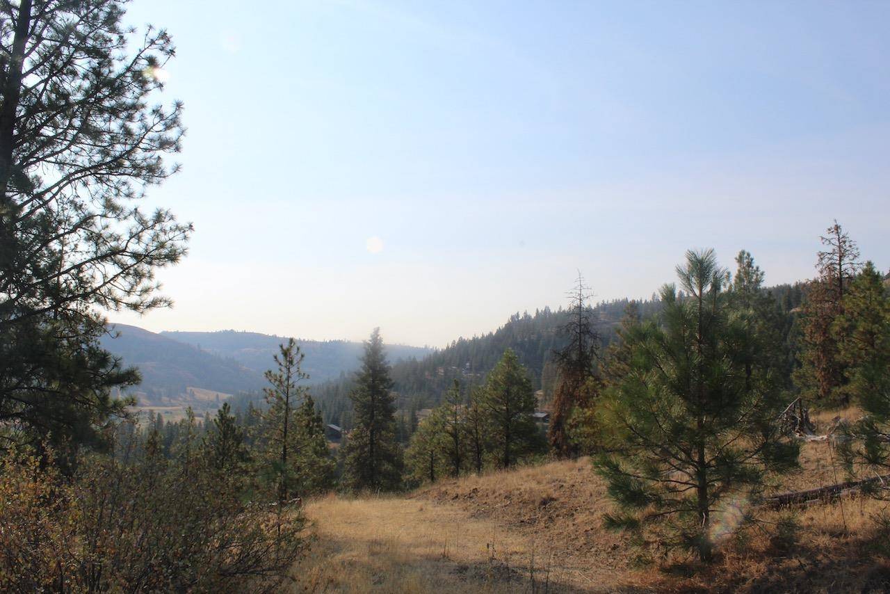 35770 Spruce Grouse N Ln, Davenport, WA 99122