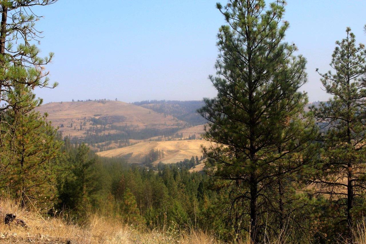 35770 Spruce Grouse N Ln, Davenport, WA 99122