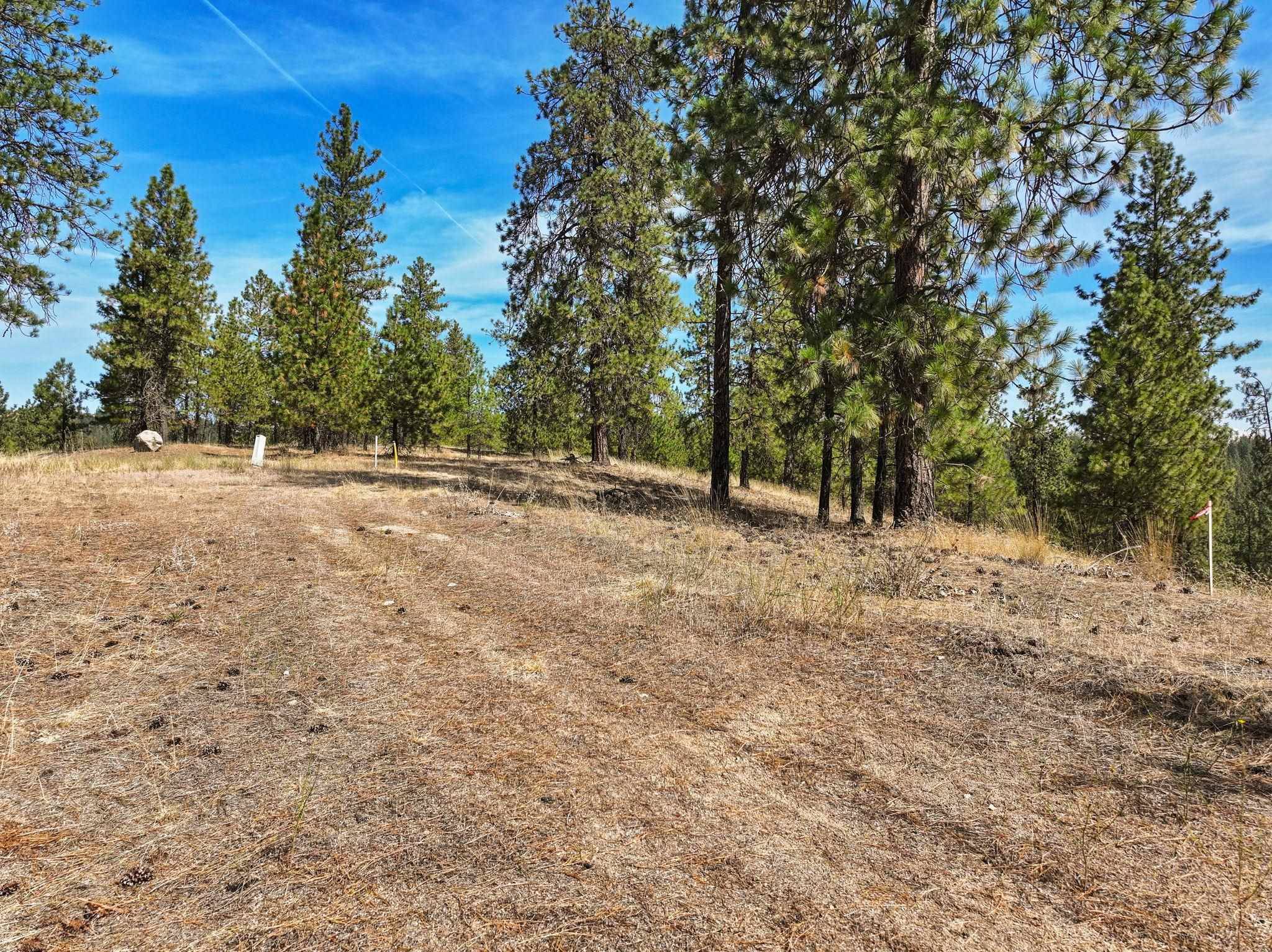 NKA N Cliff Ln #27344.9136, Spokane, WA 99208