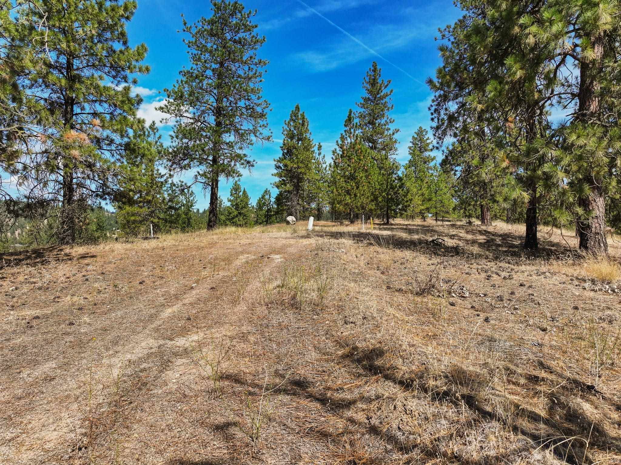 NKA N Cliff Ln #27344.9136, Spokane, WA 99208