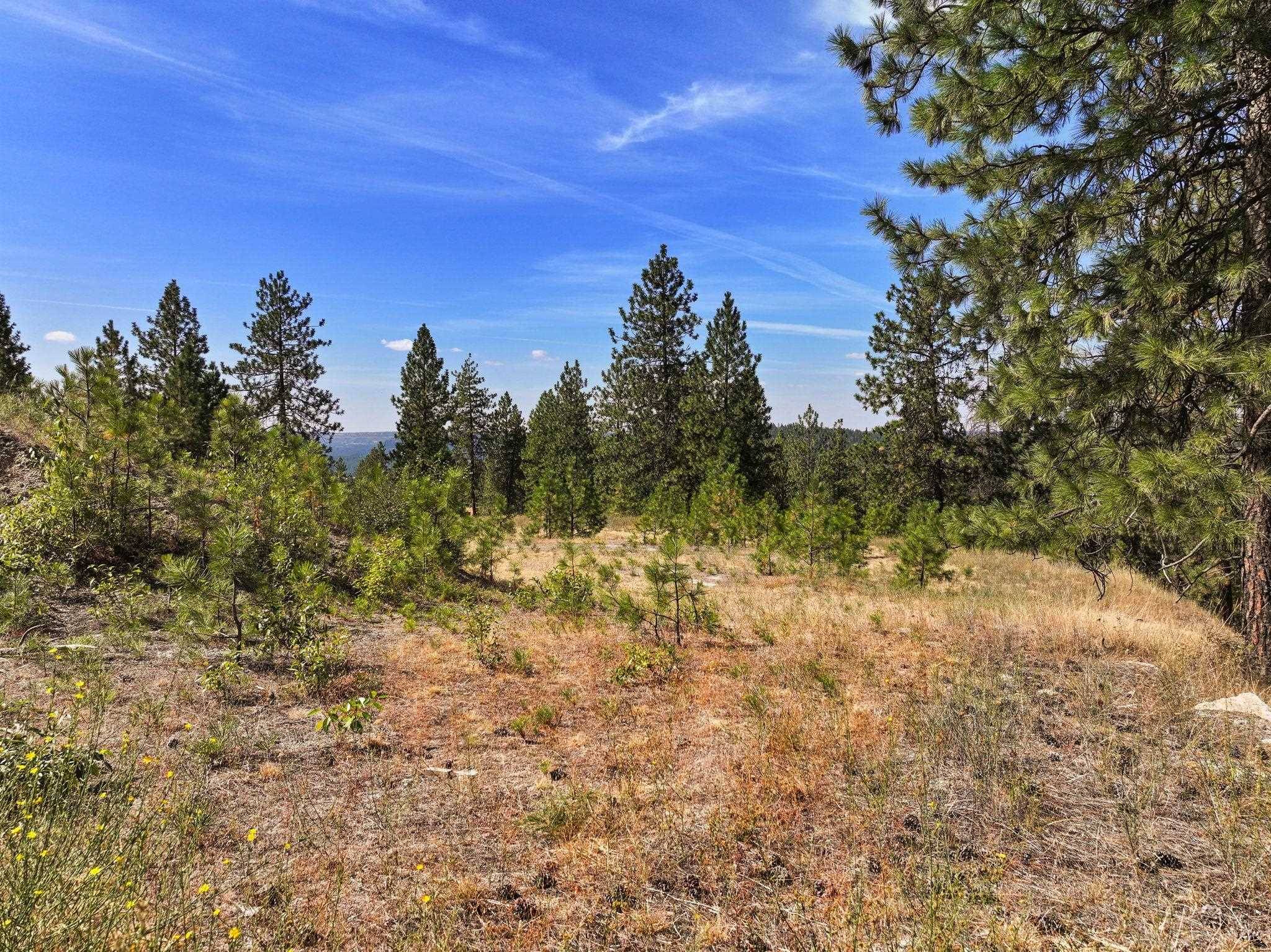 NKA N Cliff Ln #27344.9136, Spokane, WA 99208