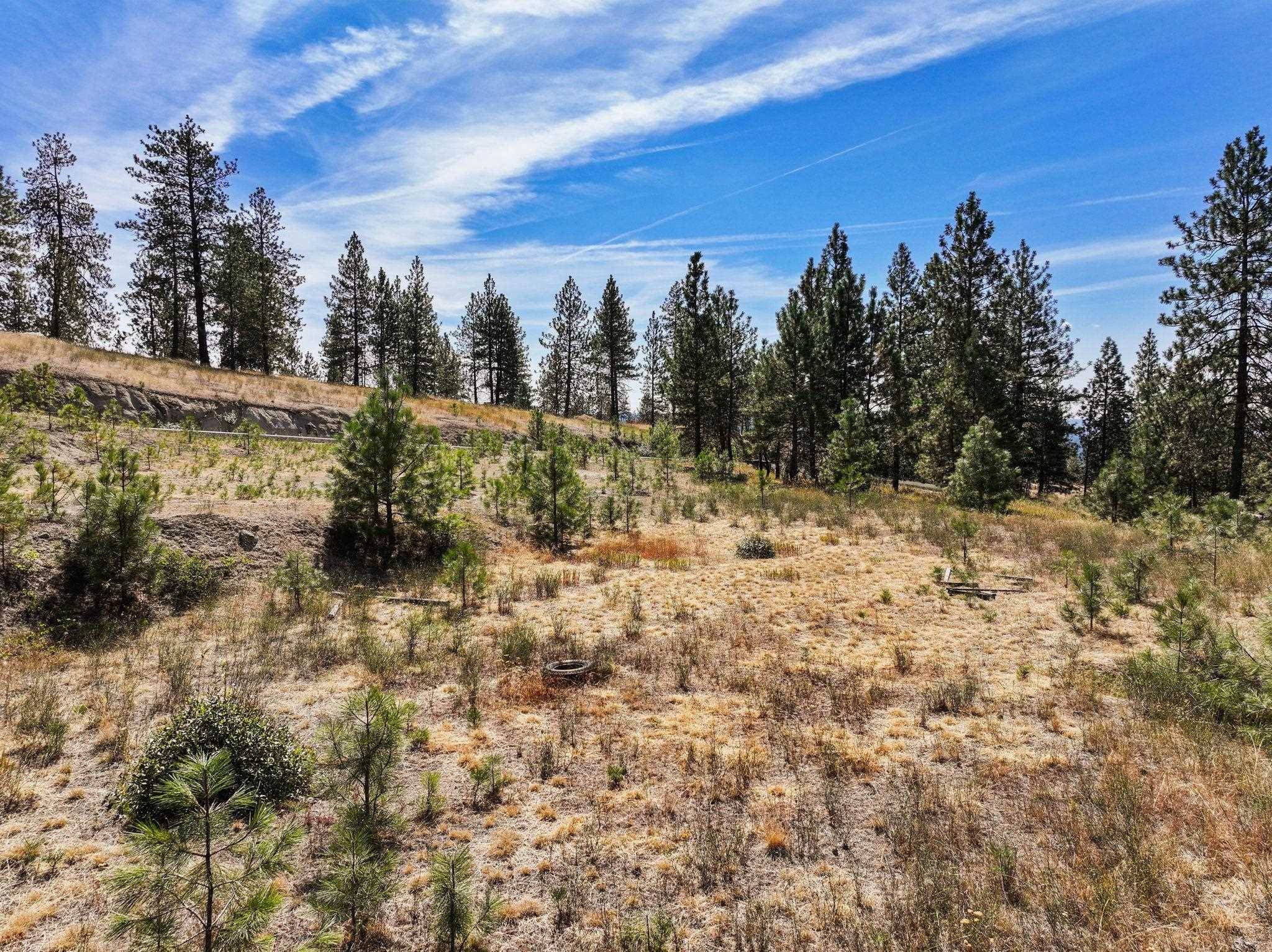 NKA N Cliff Ln #27345.9137, Spokane, WA 99208