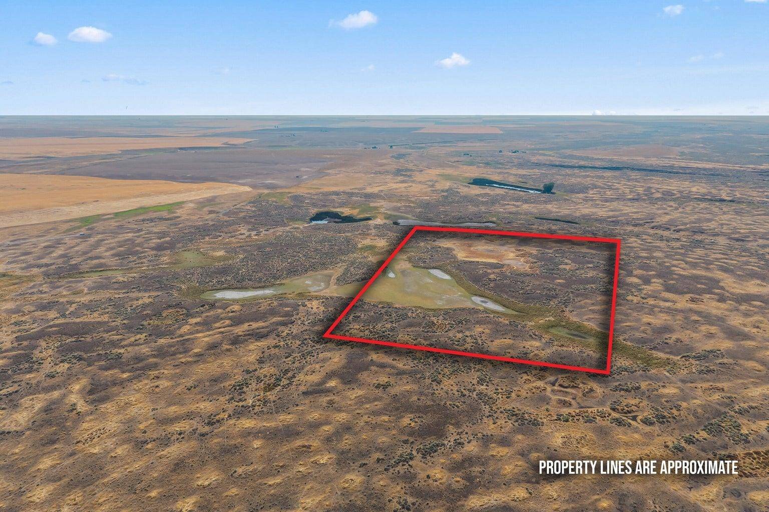 TBD N Earl Rd, Davenport, WA 99122