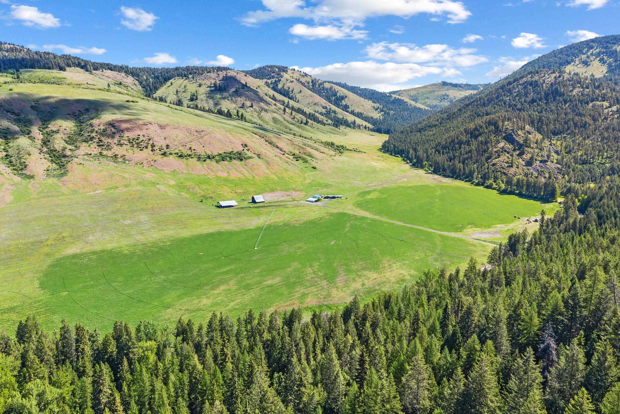 361 Lone Ranch Creek Rd, Curlew, WA 99121