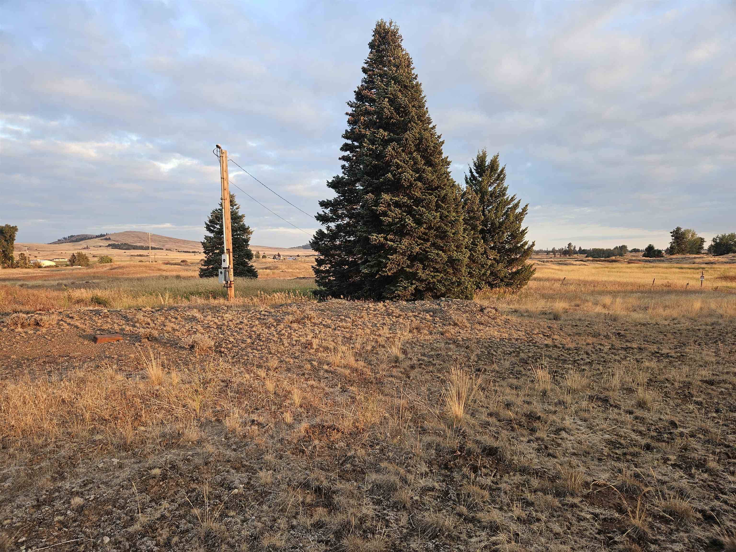 26210 W Hallett Rd, Medical Lake, WA 99022
