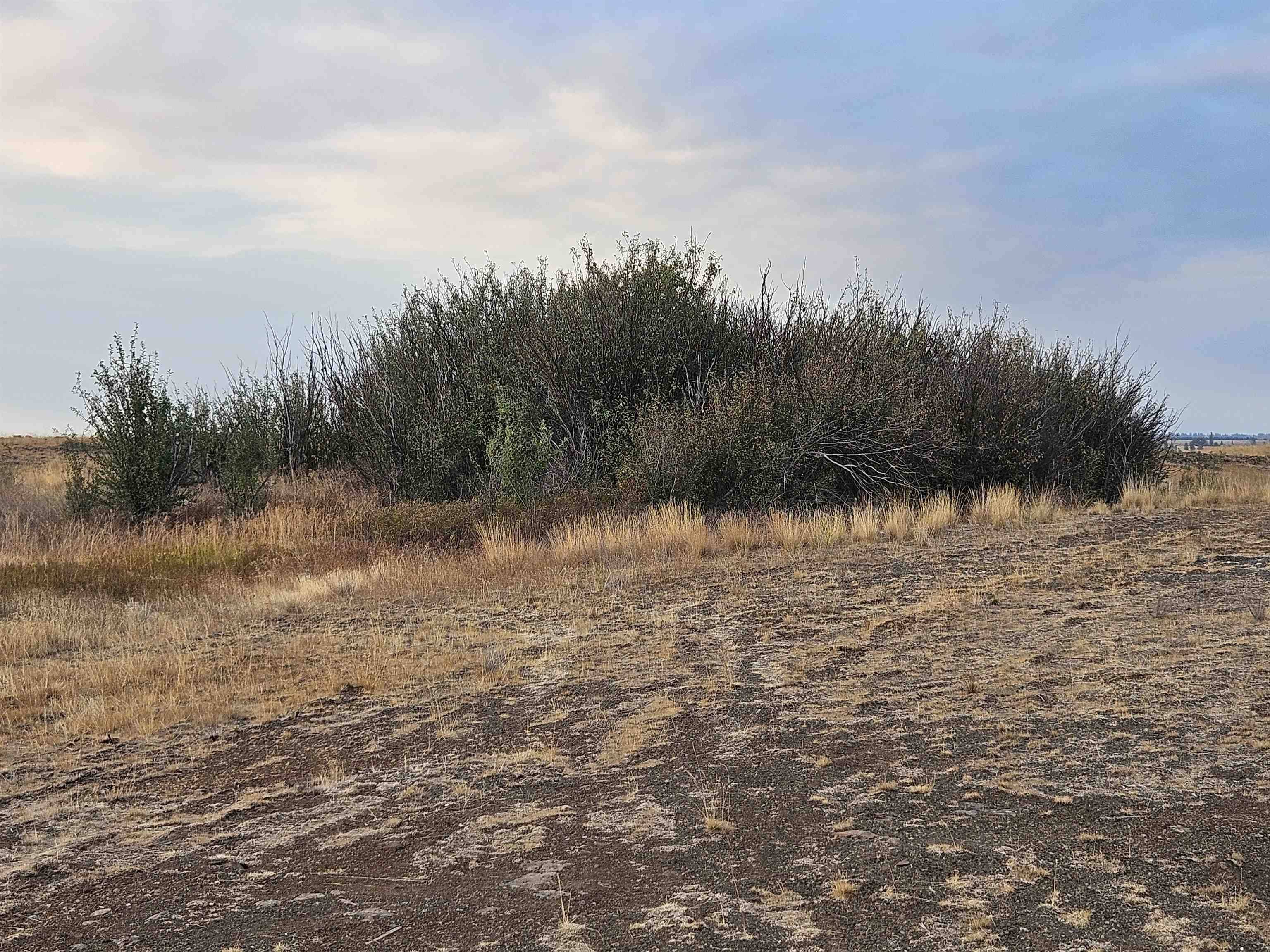 26210 W Hallett Rd, Medical Lake, WA 99022