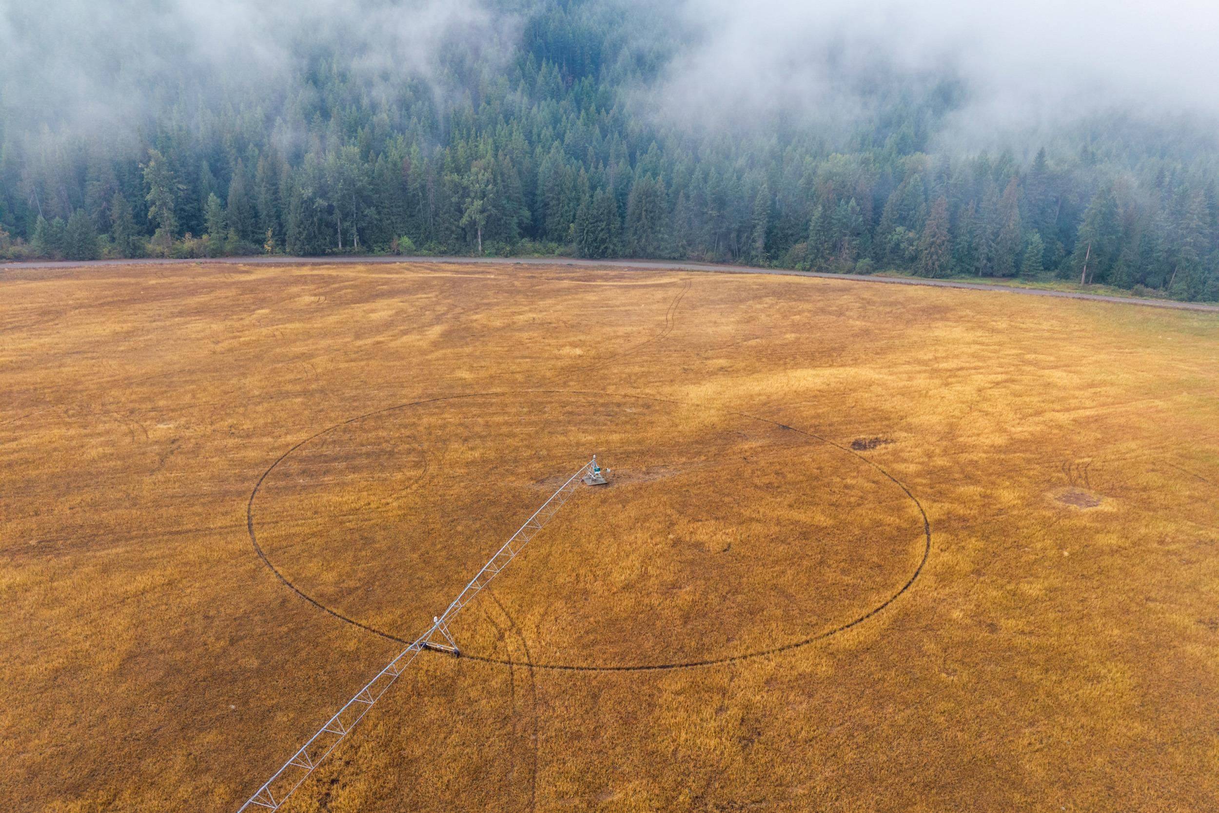 361 Lone Ranch Creek Rd, Curlew, WA 99121