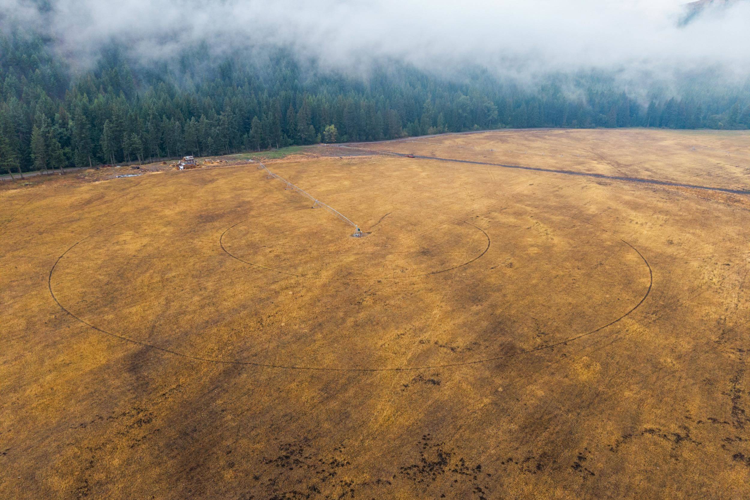 361 Lone Ranch Creek Rd, Curlew, WA 99121