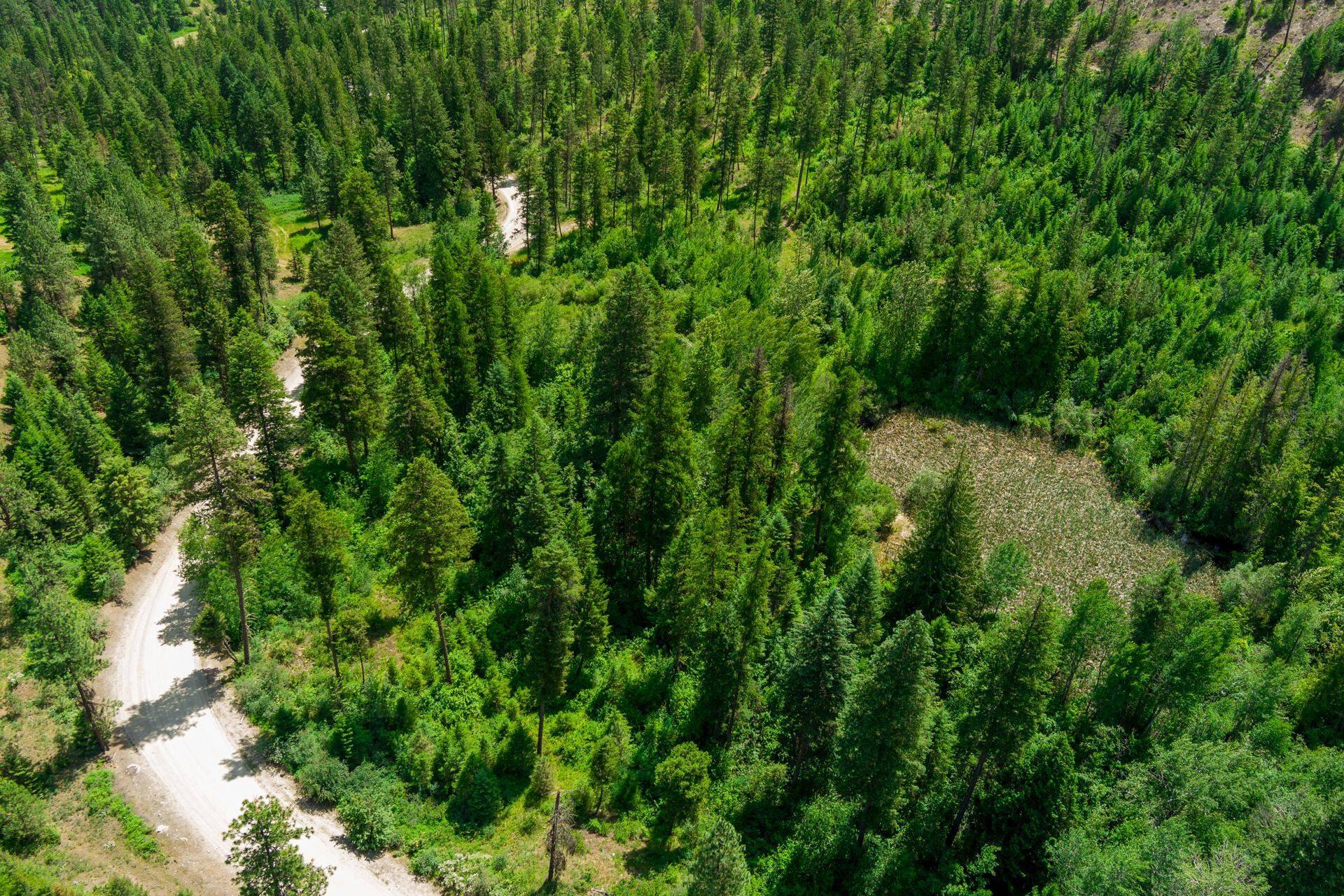 3124 Orient Cutoff Rd, Orient, WA 99160