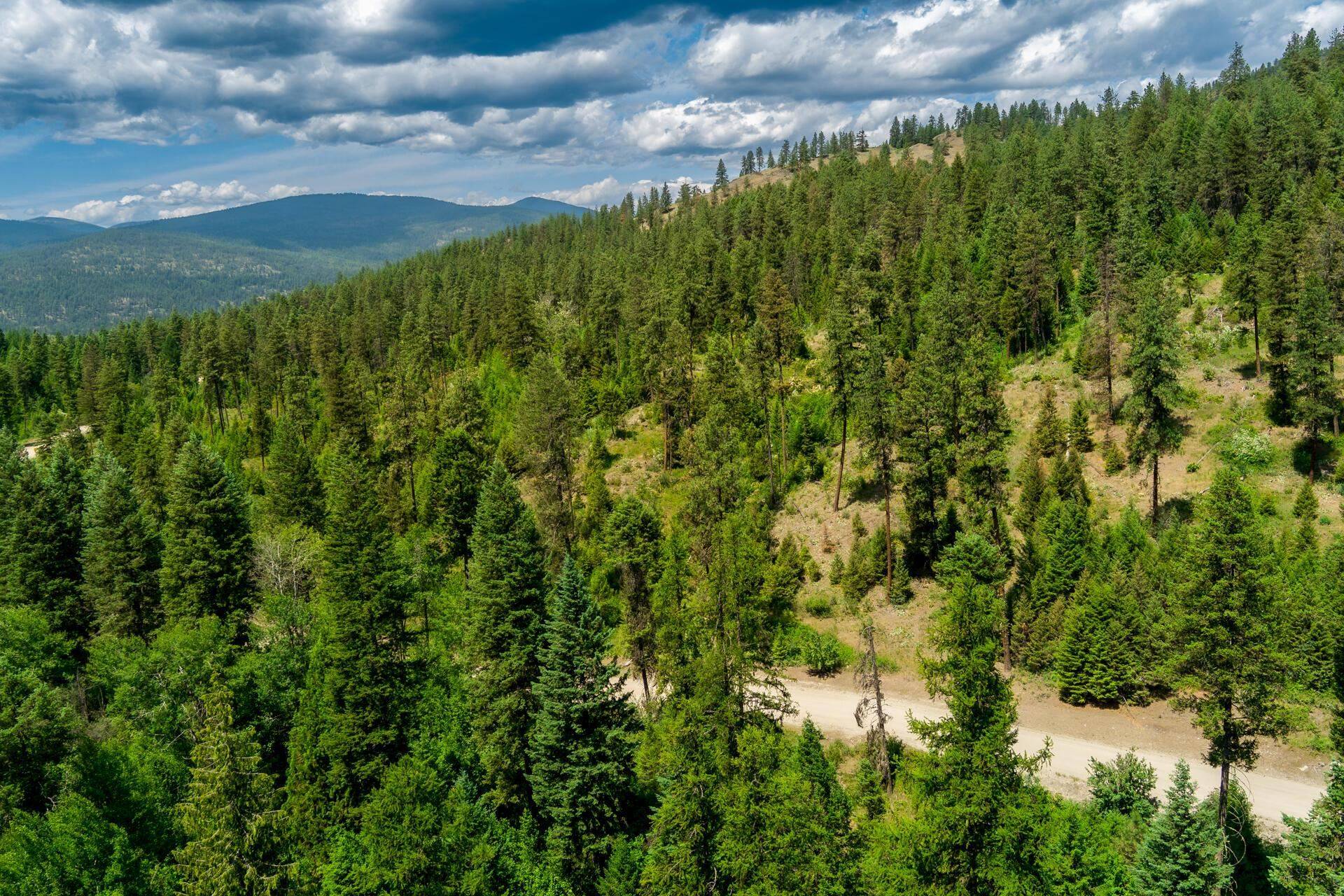 3124 Orient Cutoff Rd, Orient, WA 99160