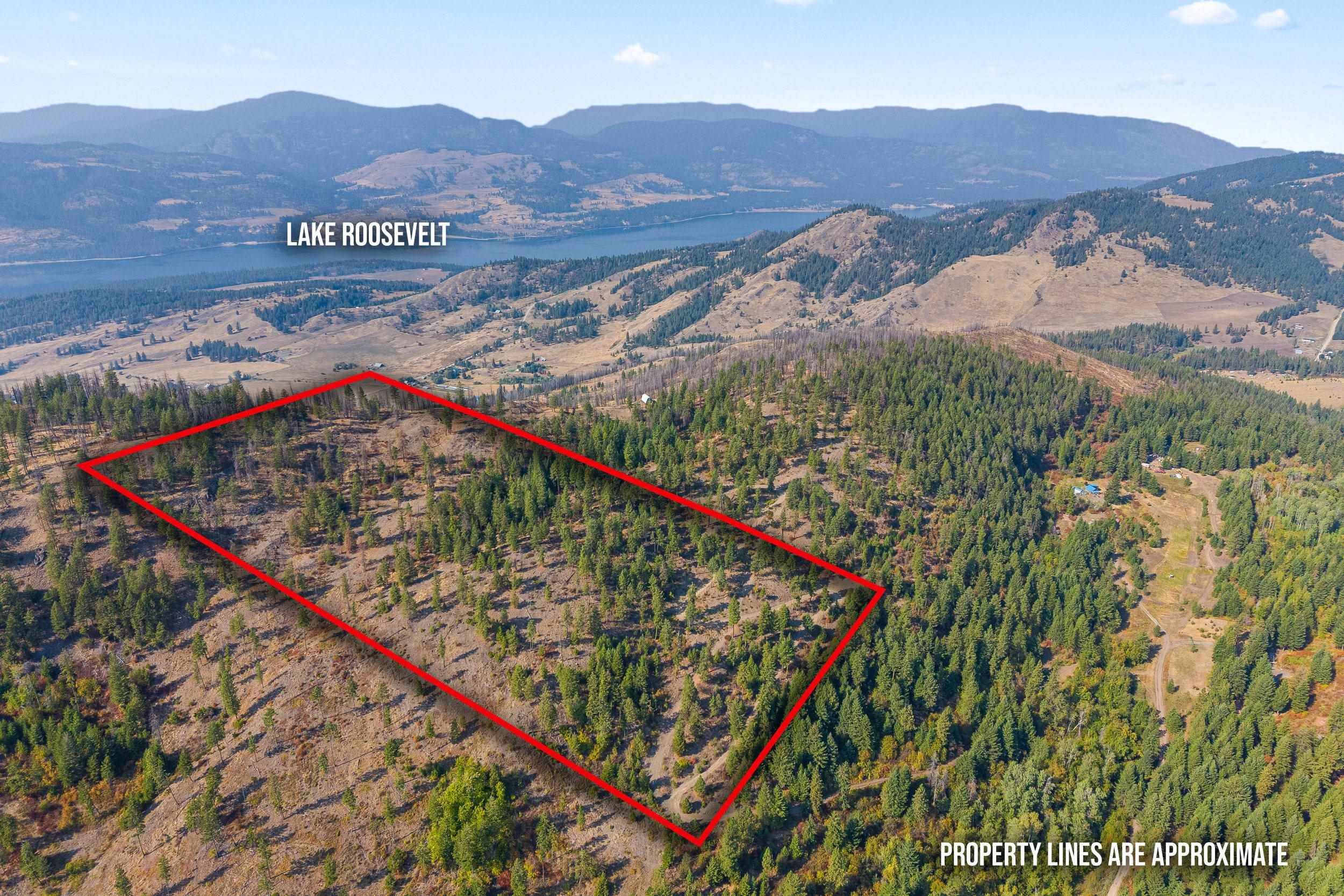 17XX Orin Rice Rd, Rice, WA 99167