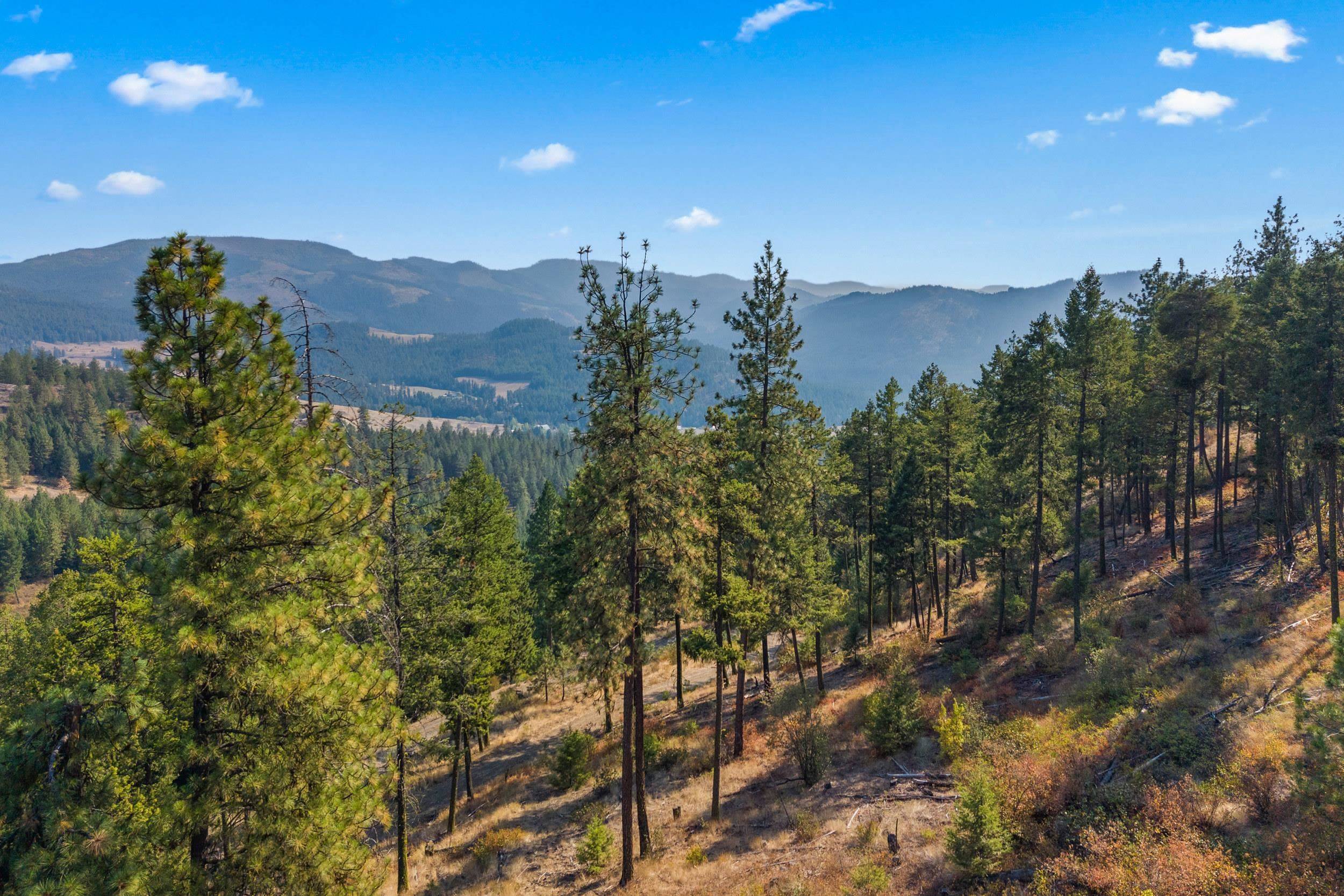 17XX Orin Rice Rd, Rice, WA 99167