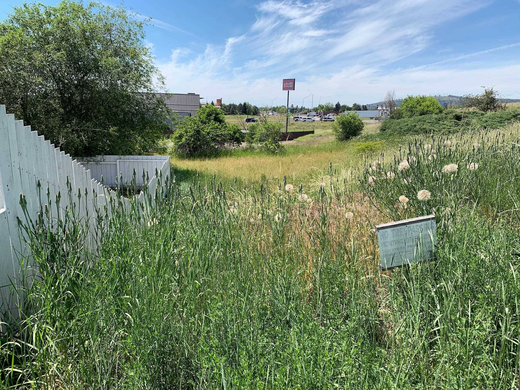 N Willow Dr, Spokane Valley, WA 99206