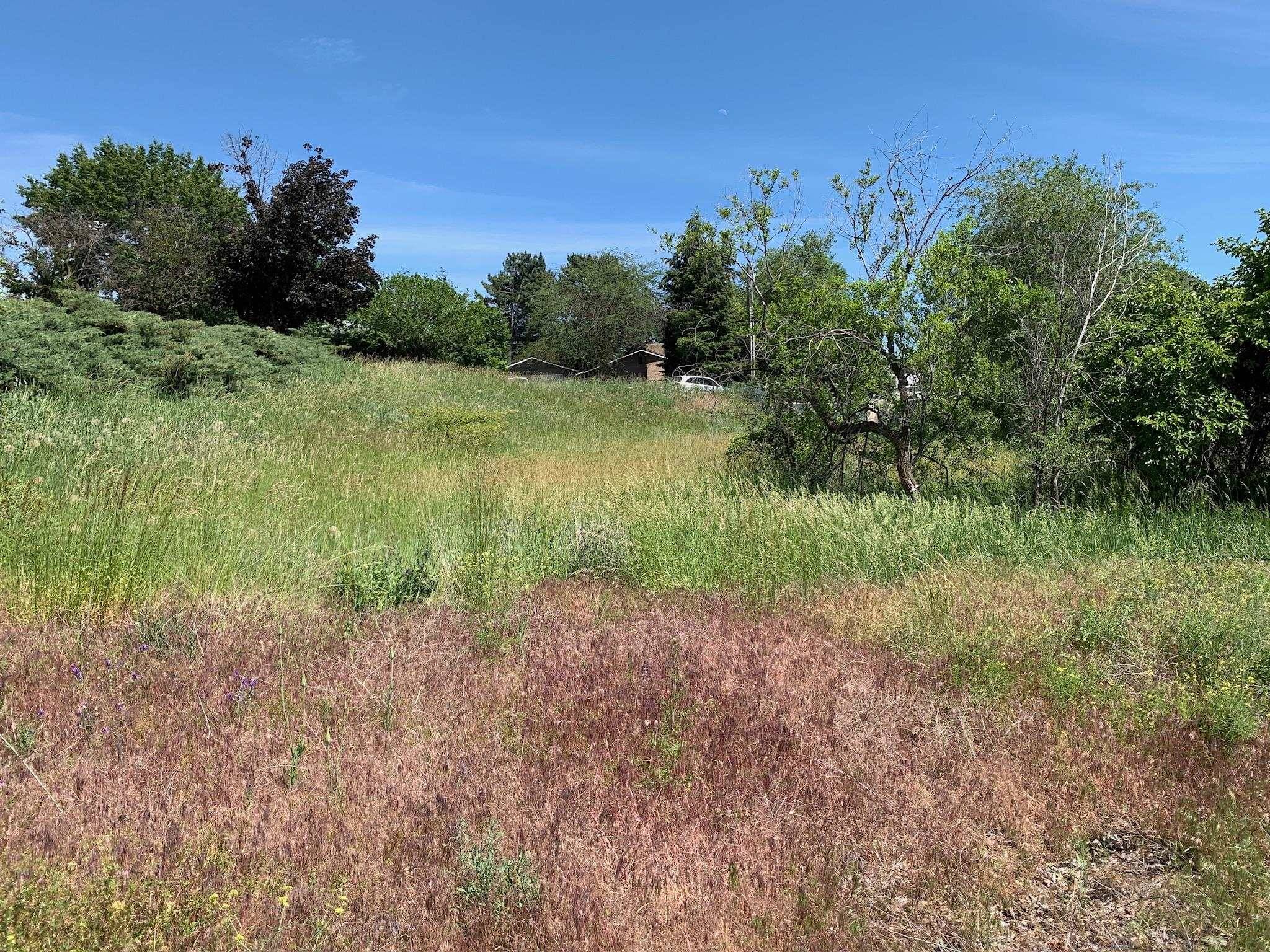 N Willow Dr, Spokane Valley, WA 99206