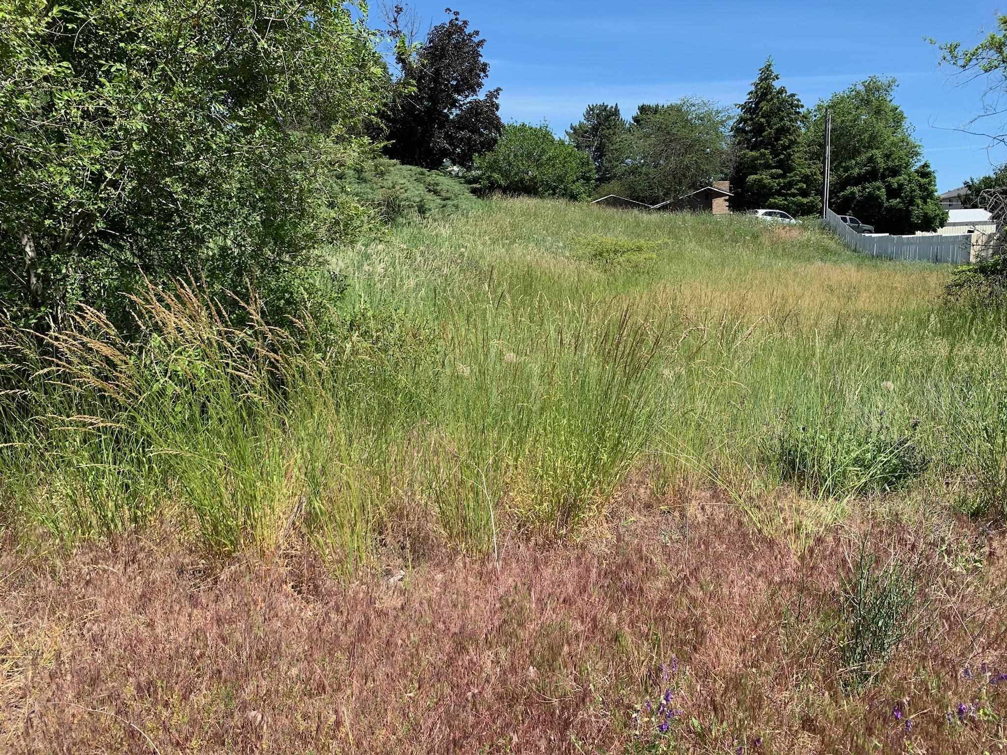 N Willow Dr, Spokane Valley, WA 99206