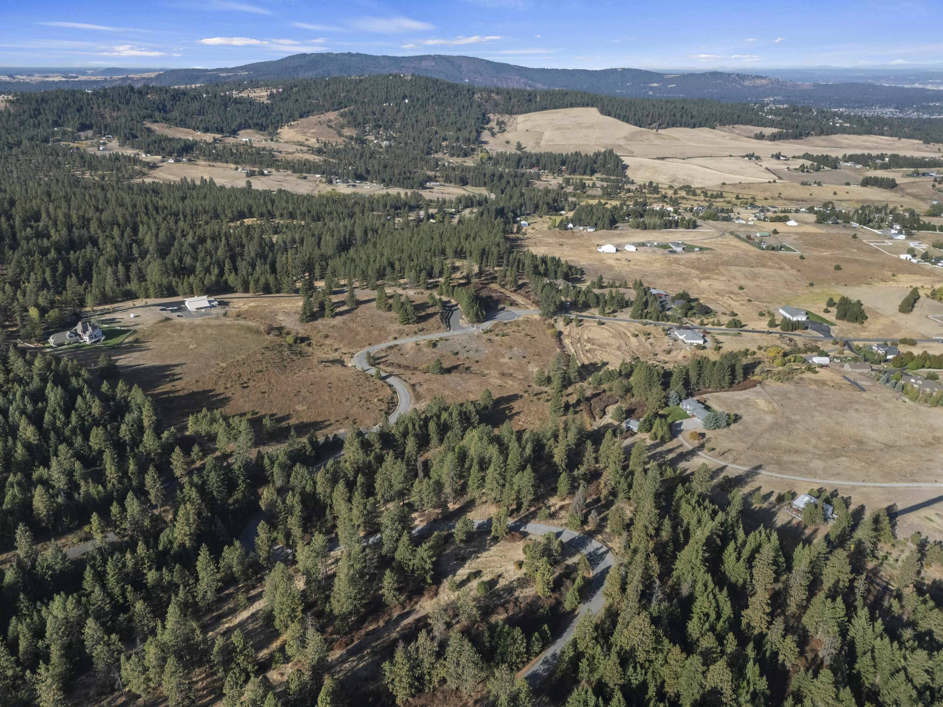 6611 S Saddle Ridge Ln, Greenacres, WA 99016