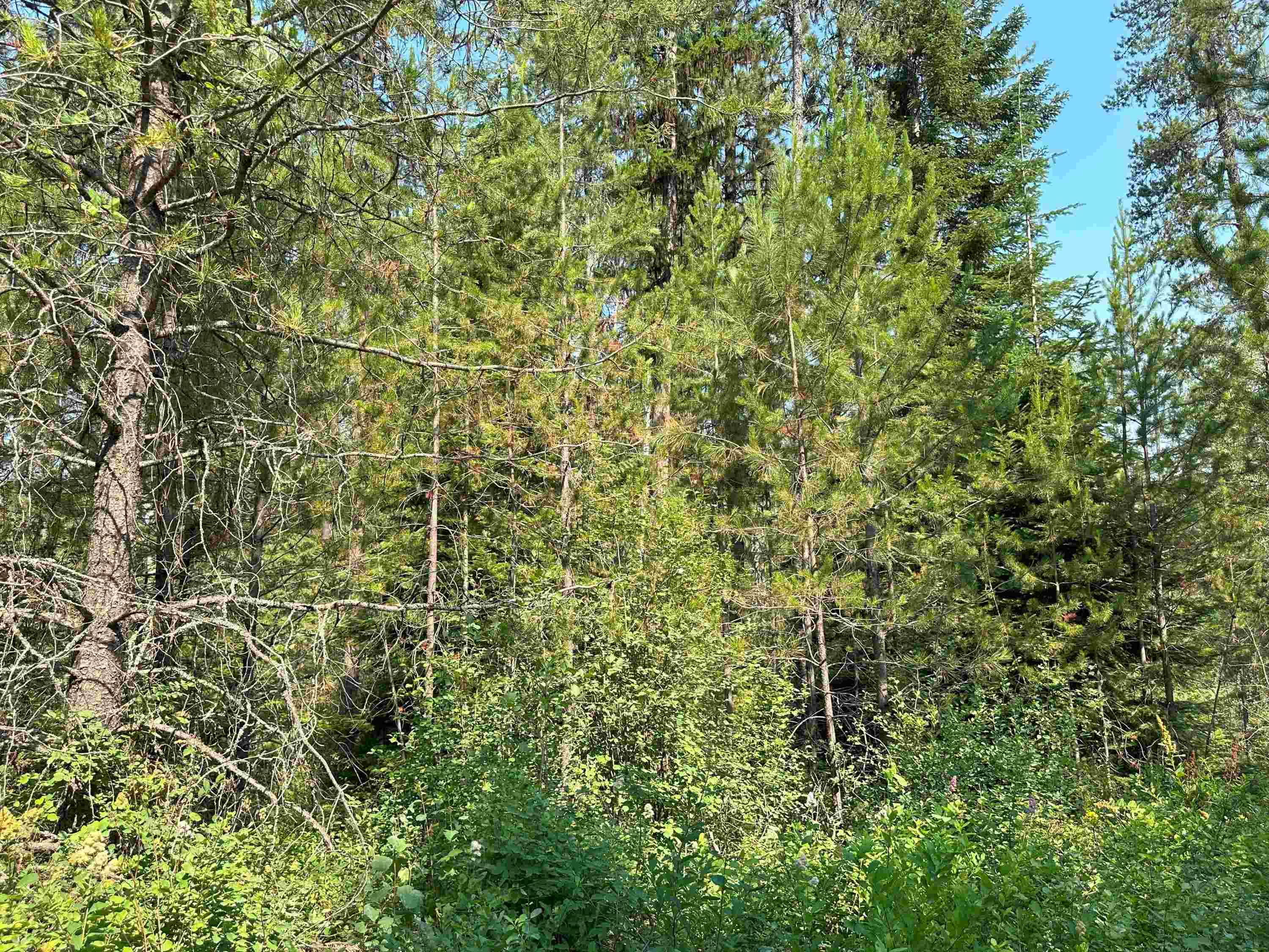 7398 Cottonwood Rd, Wellpinit, WA 99040