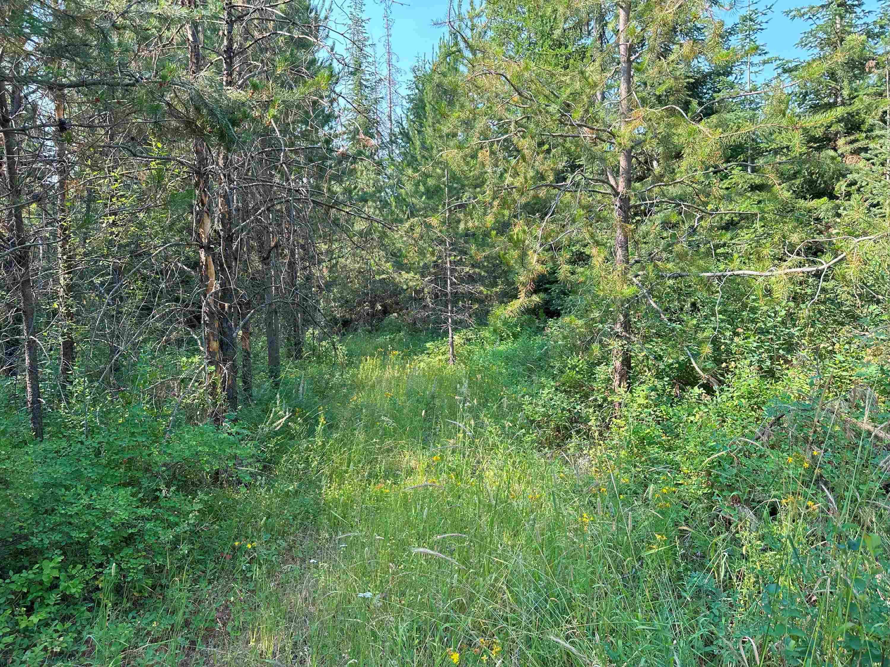 7398 Cottonwood Rd, Wellpinit, WA 99040