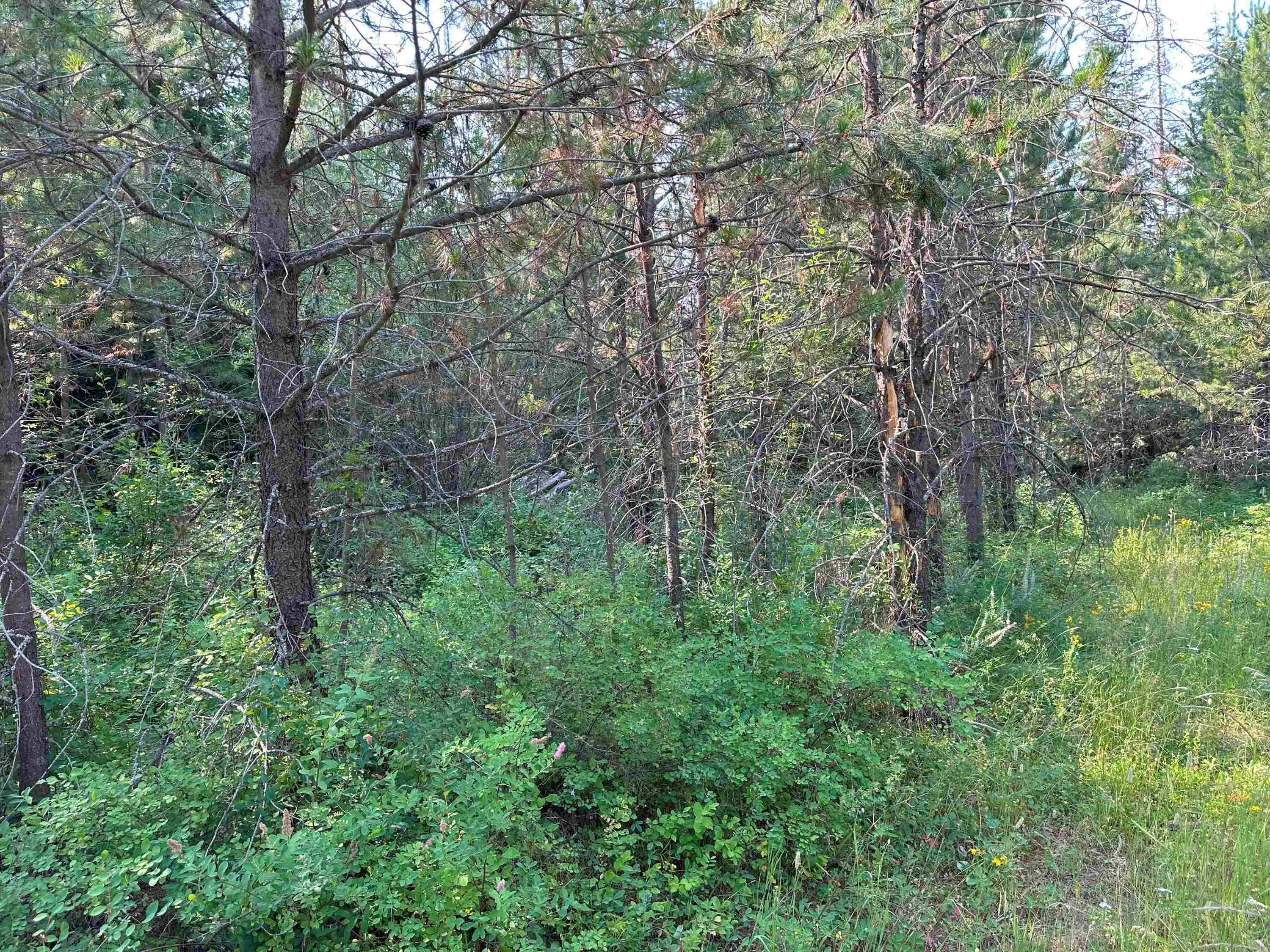 7398 Cottonwood Rd, Wellpinit, WA 99040