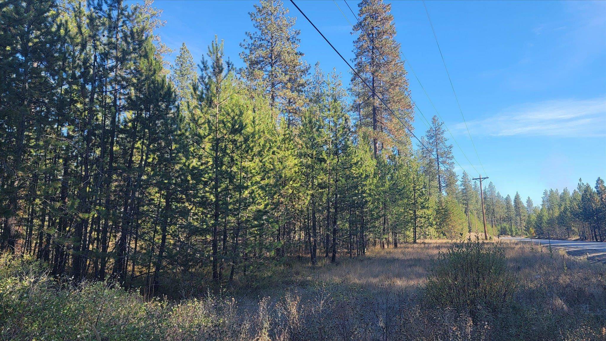 1XXX Spring Valley Rd, Newport, WA 99156